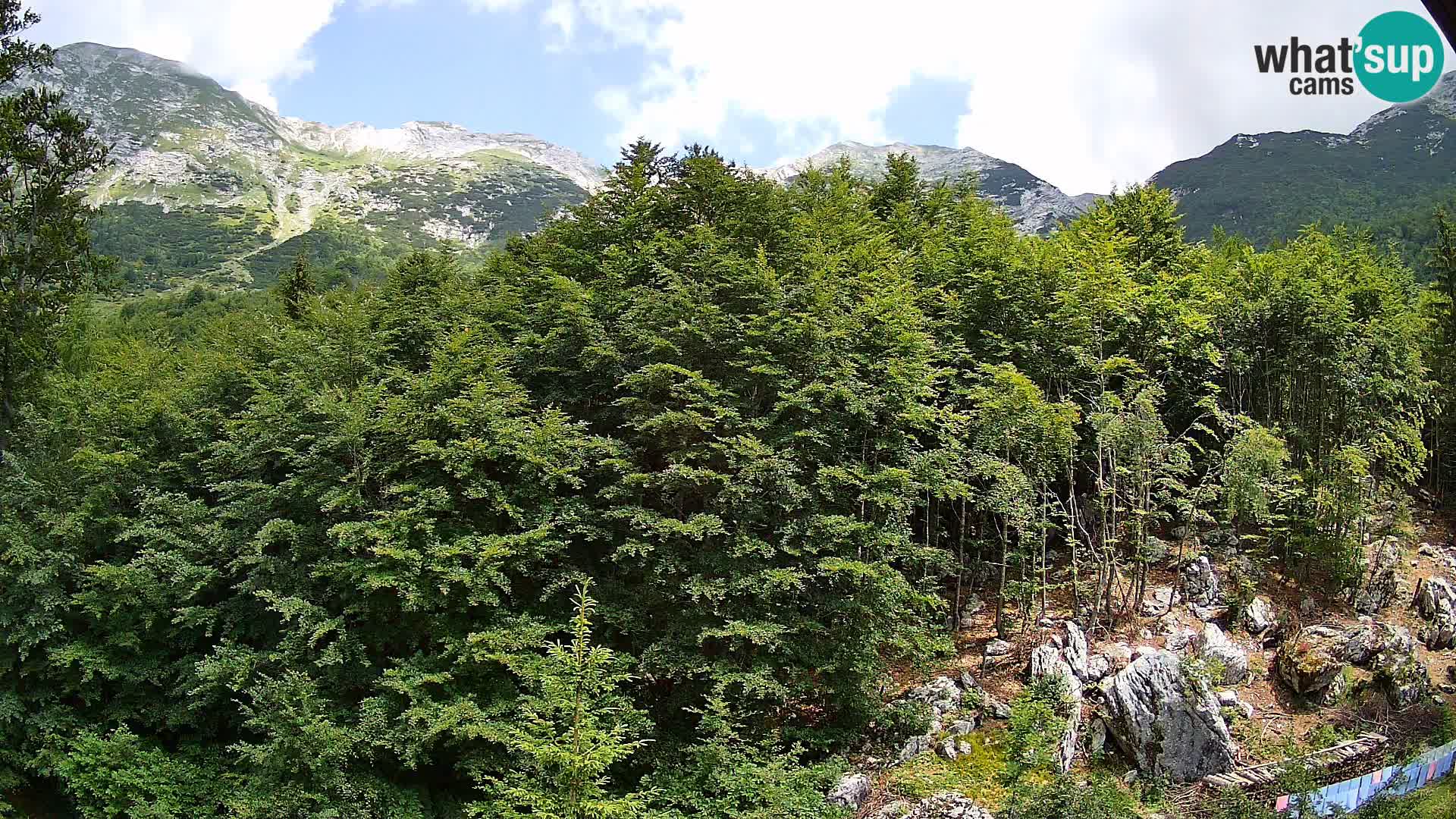 PLANINA RAZOR web kamera (1315) | pogled na Vogel i Globoko