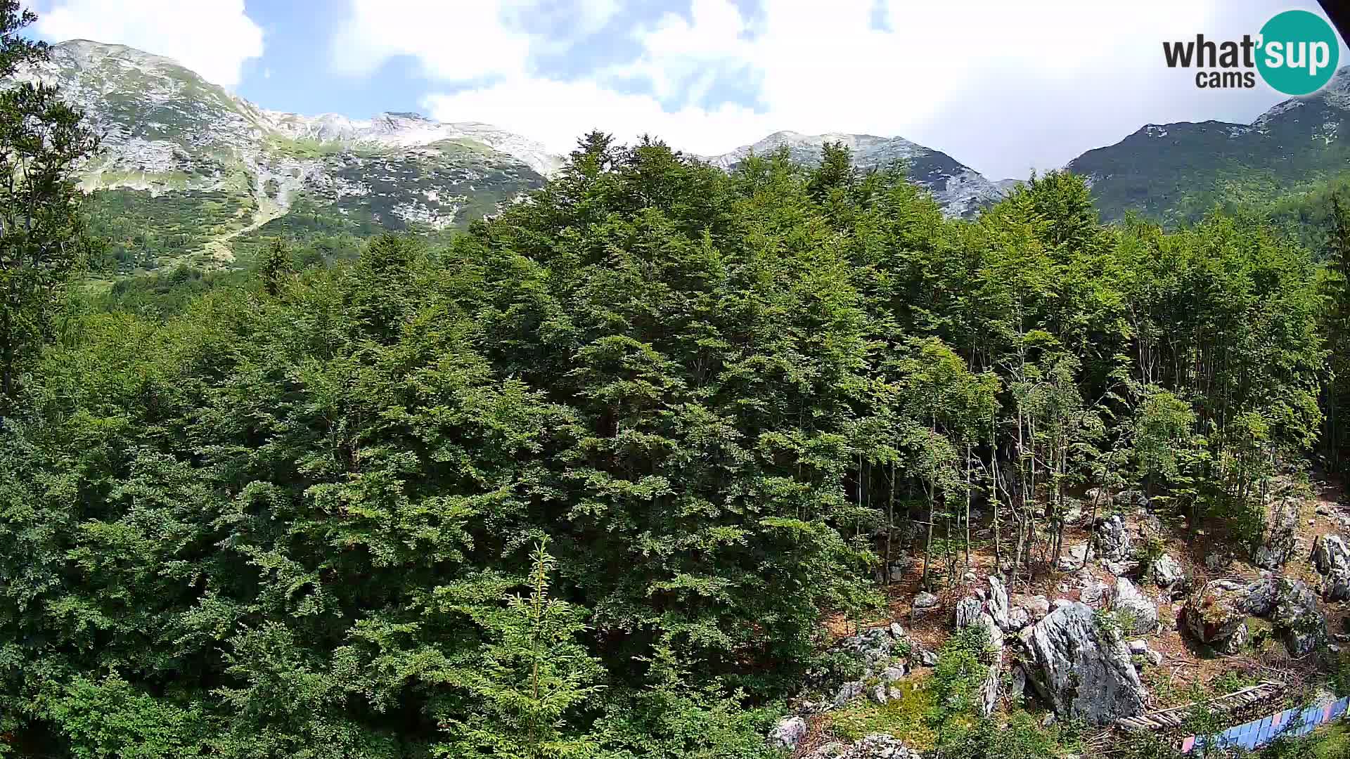 PLANINA RAZOR webcam (1315) | view to Vogel and Globoko