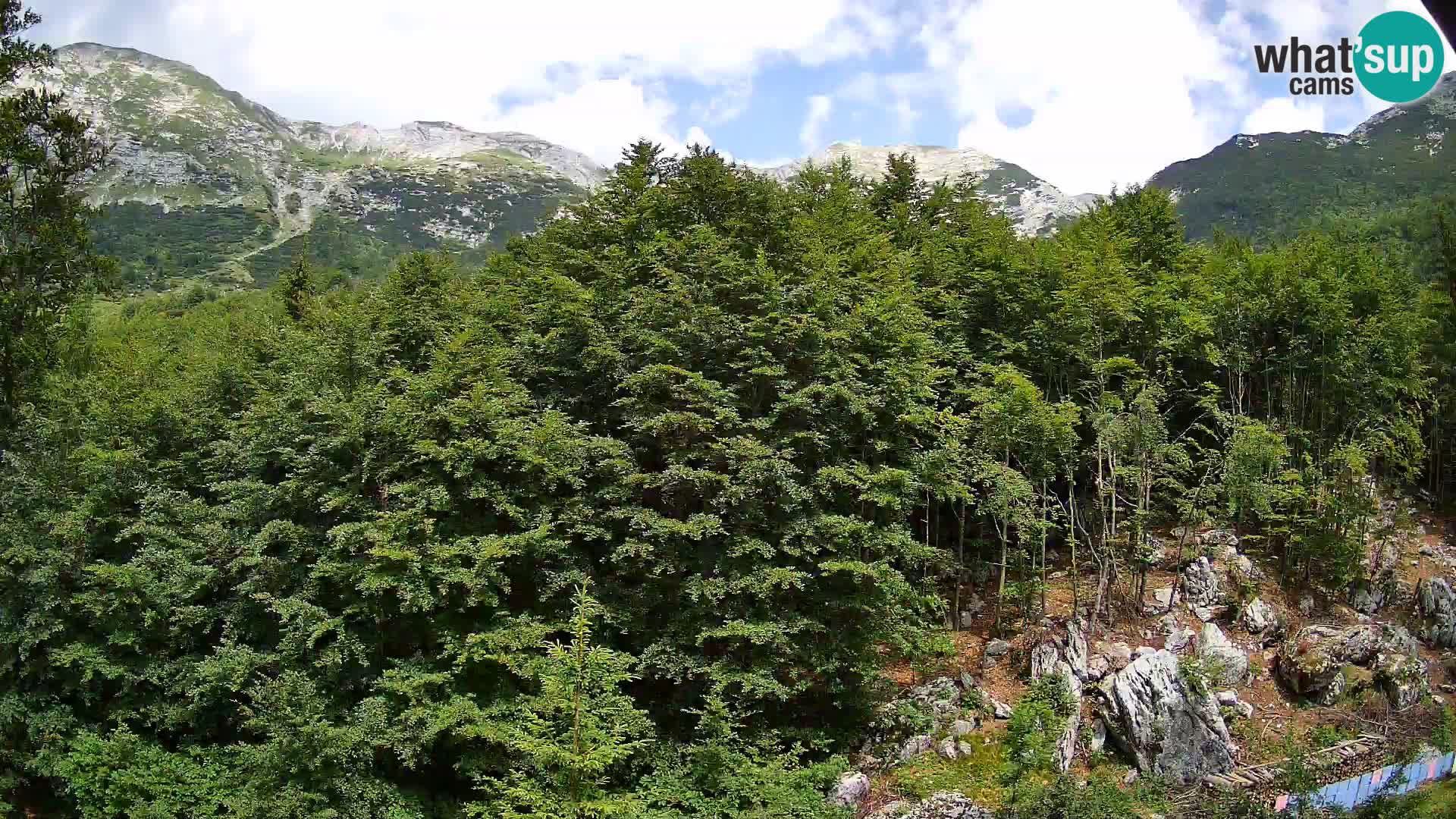 Webcam PLANINA RAZOR (1315) | Blick auf Vogel und Globoko