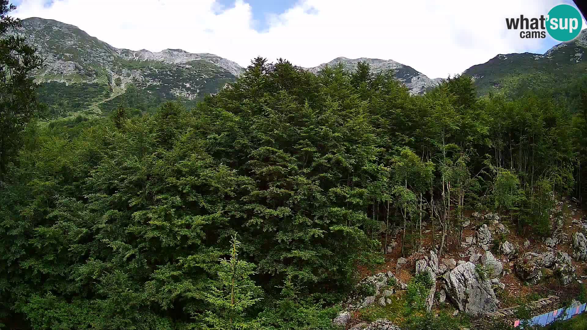 PLANINA RAZOR Live Cam (1315) | vista su Vogel e Globoko