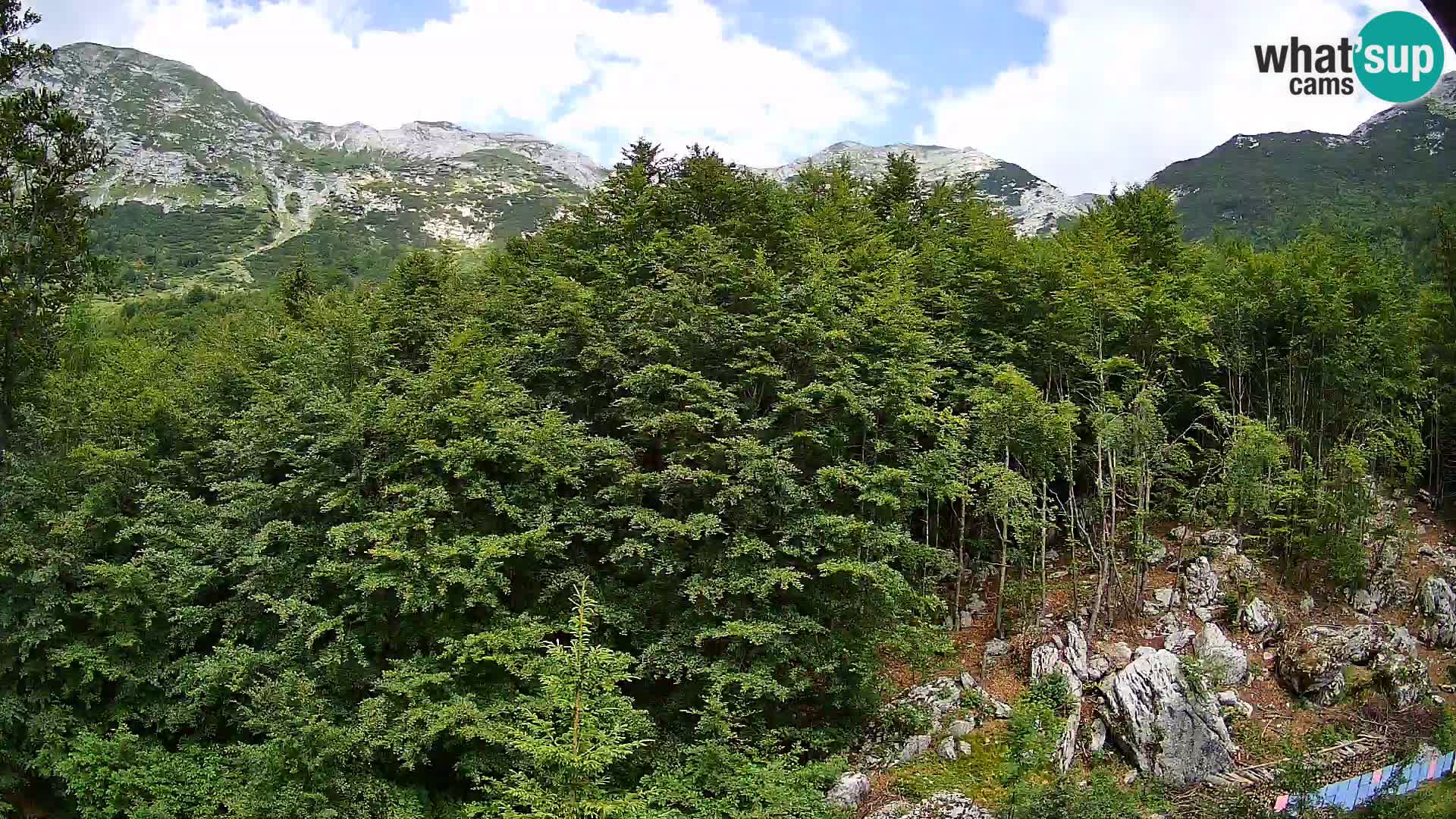 PLANINA RAZOR kamera (1315) | pogled na Vogel in Globoko