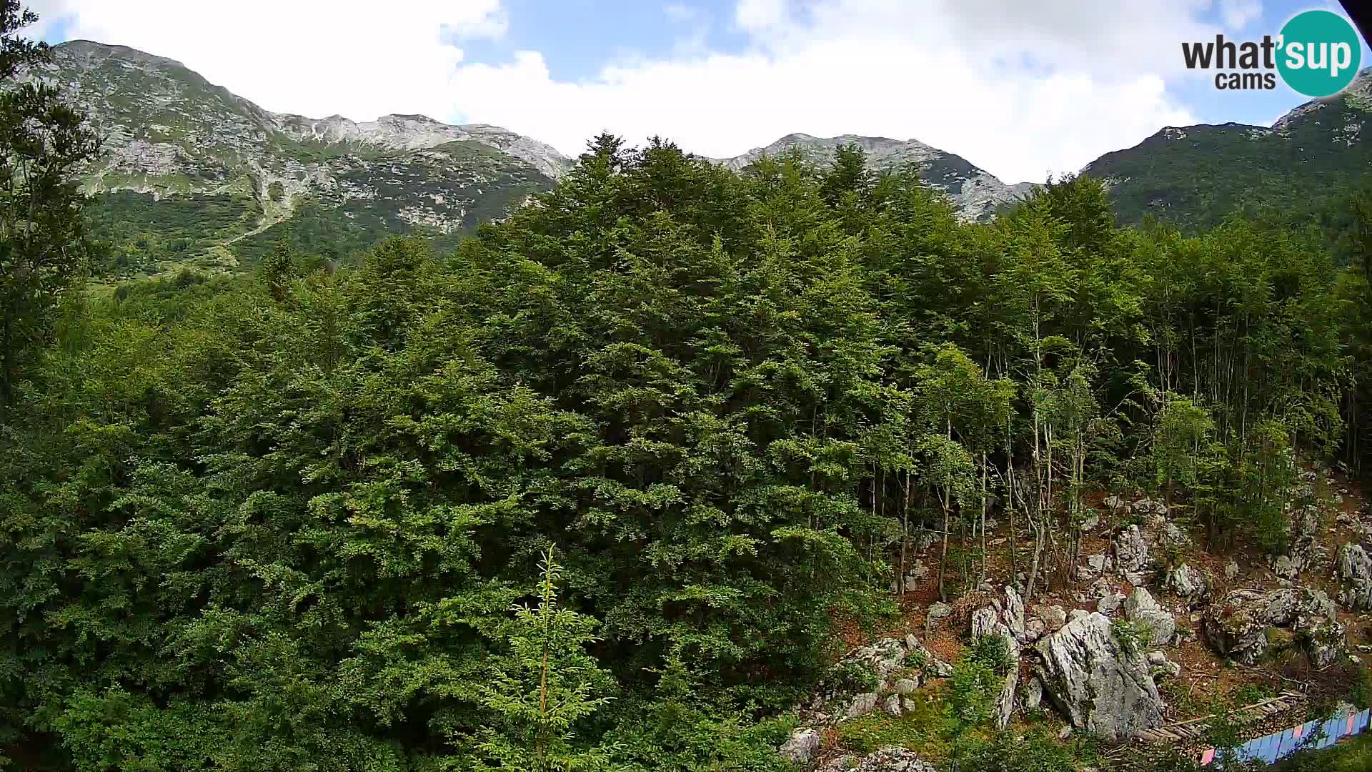 PLANINA RAZOR kamera (1315) | pogled na Vogel in Globoko