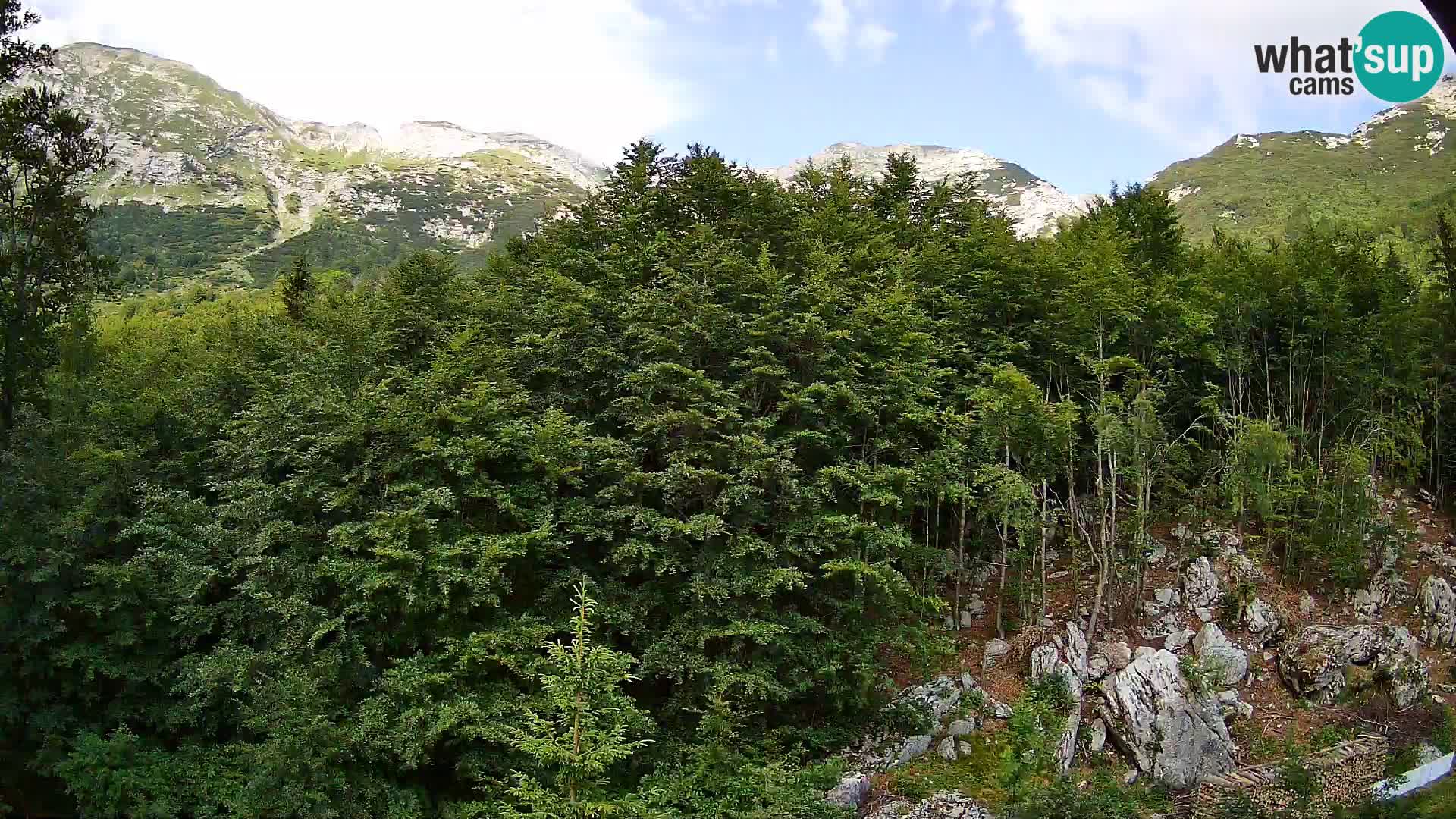 PLANINA RAZOR web kamera (1315) | pogled na Vogel i Globoko