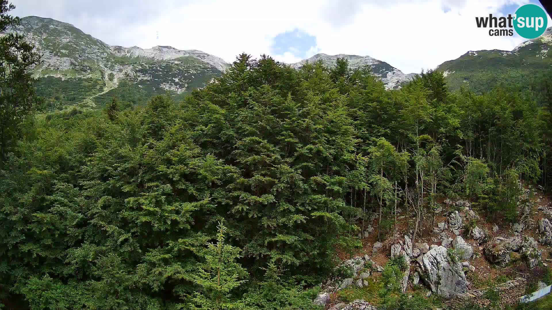 PLANINA RAZOR webcam (1315) | view to Vogel and Globoko