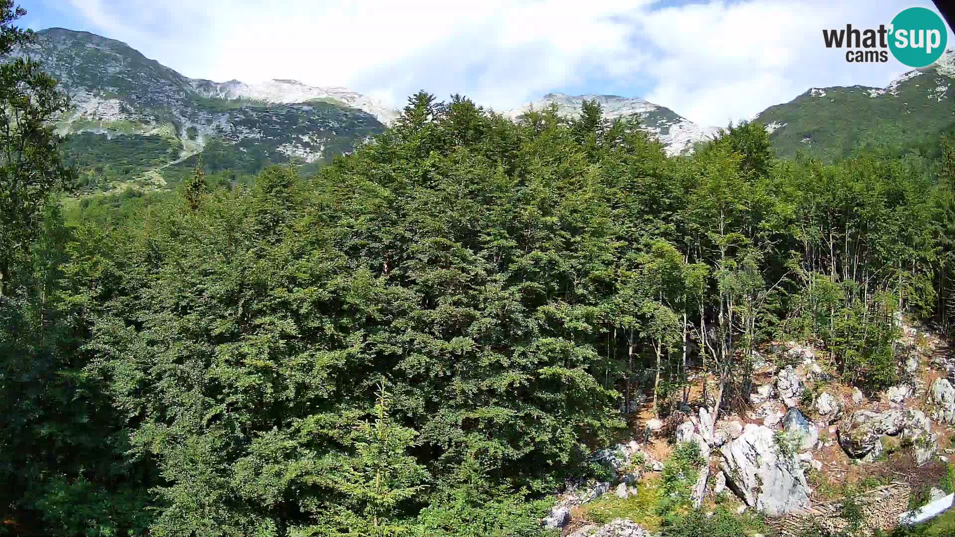 PLANINA RAZOR Live Cam (1315) | vista su Vogel e Globoko