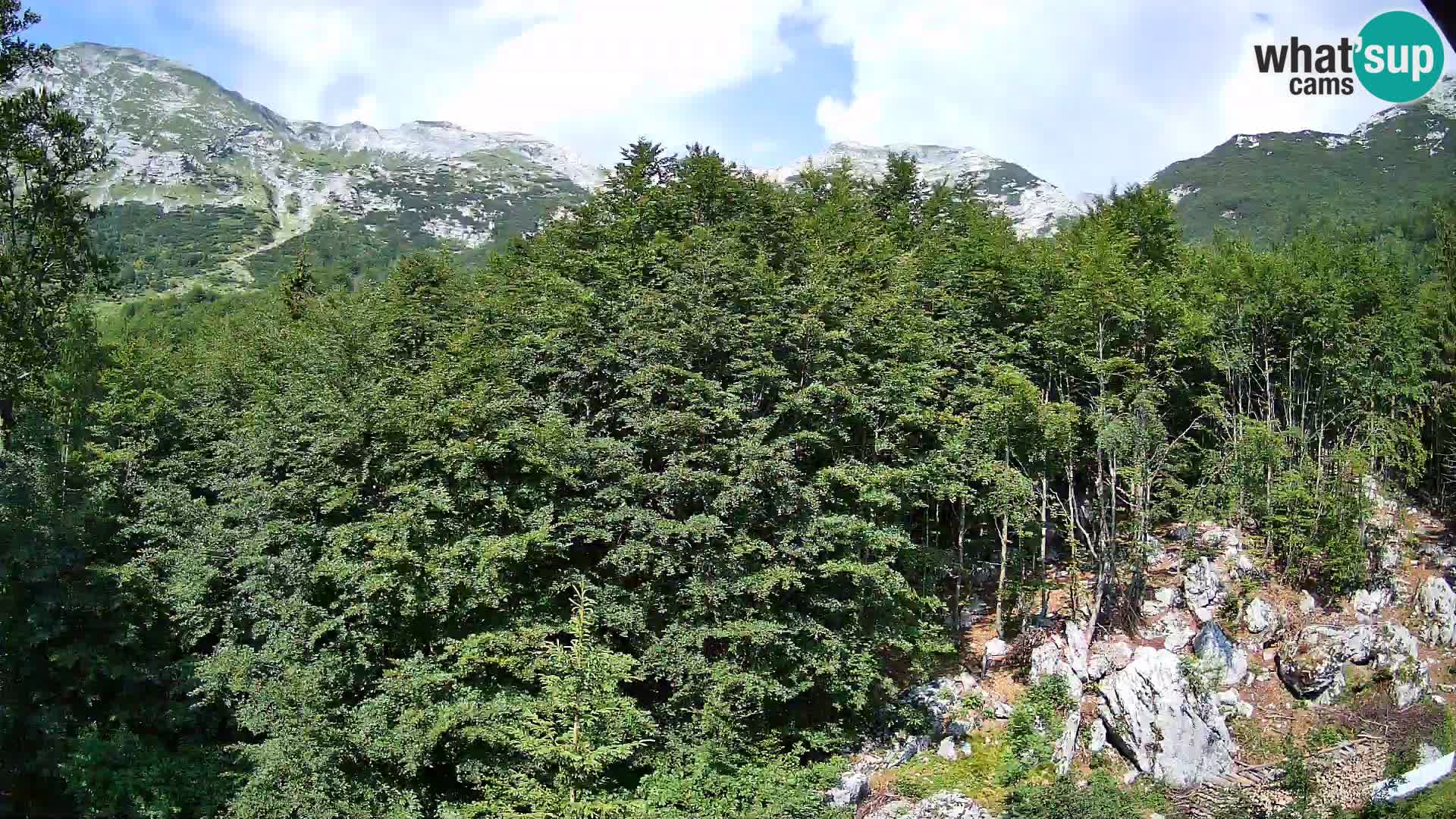 PLANINA RAZOR webcam (1315) | view to Vogel and Globoko