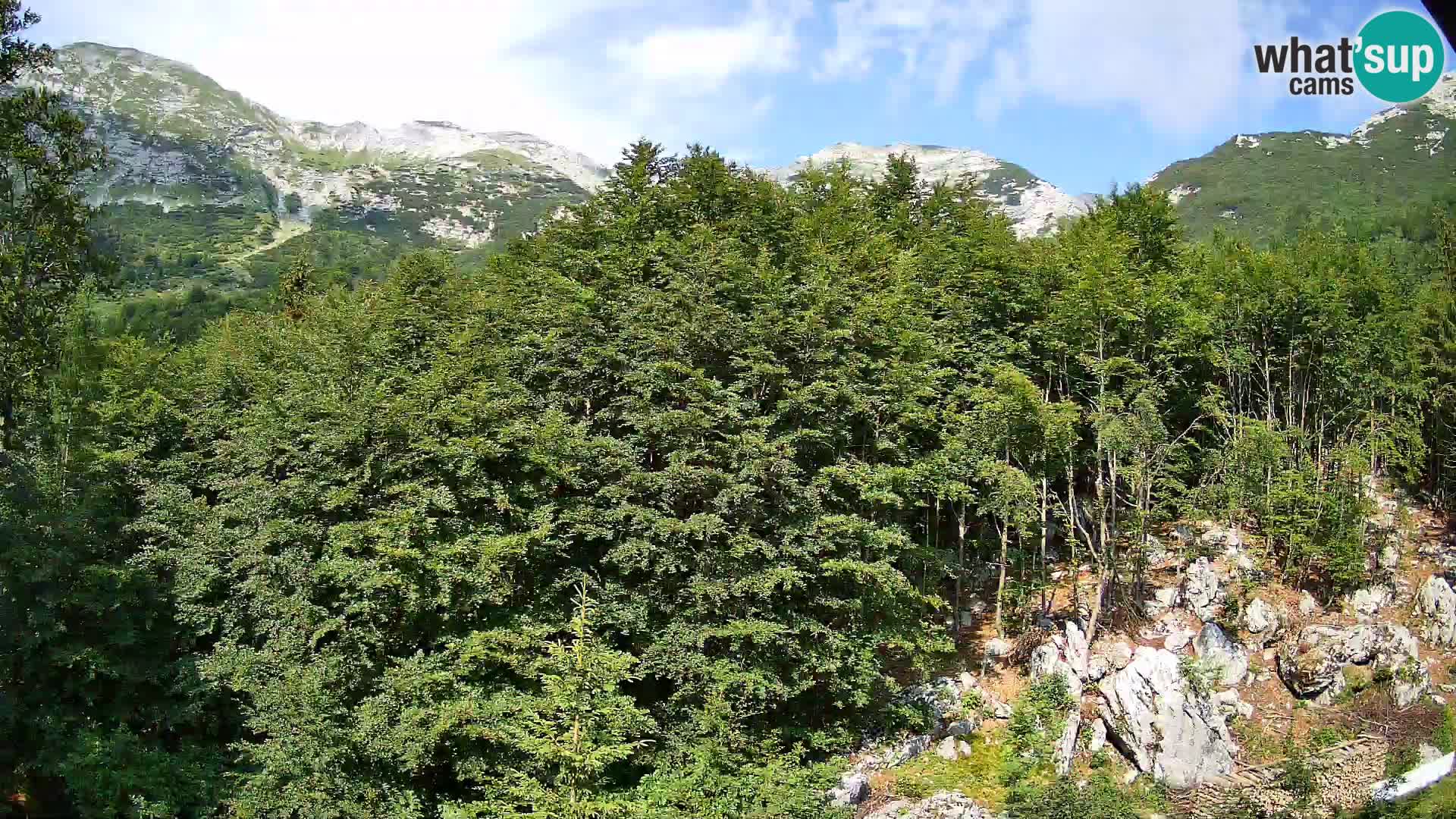 PLANINA RAZOR webcam (1315) | view to Vogel and Globoko