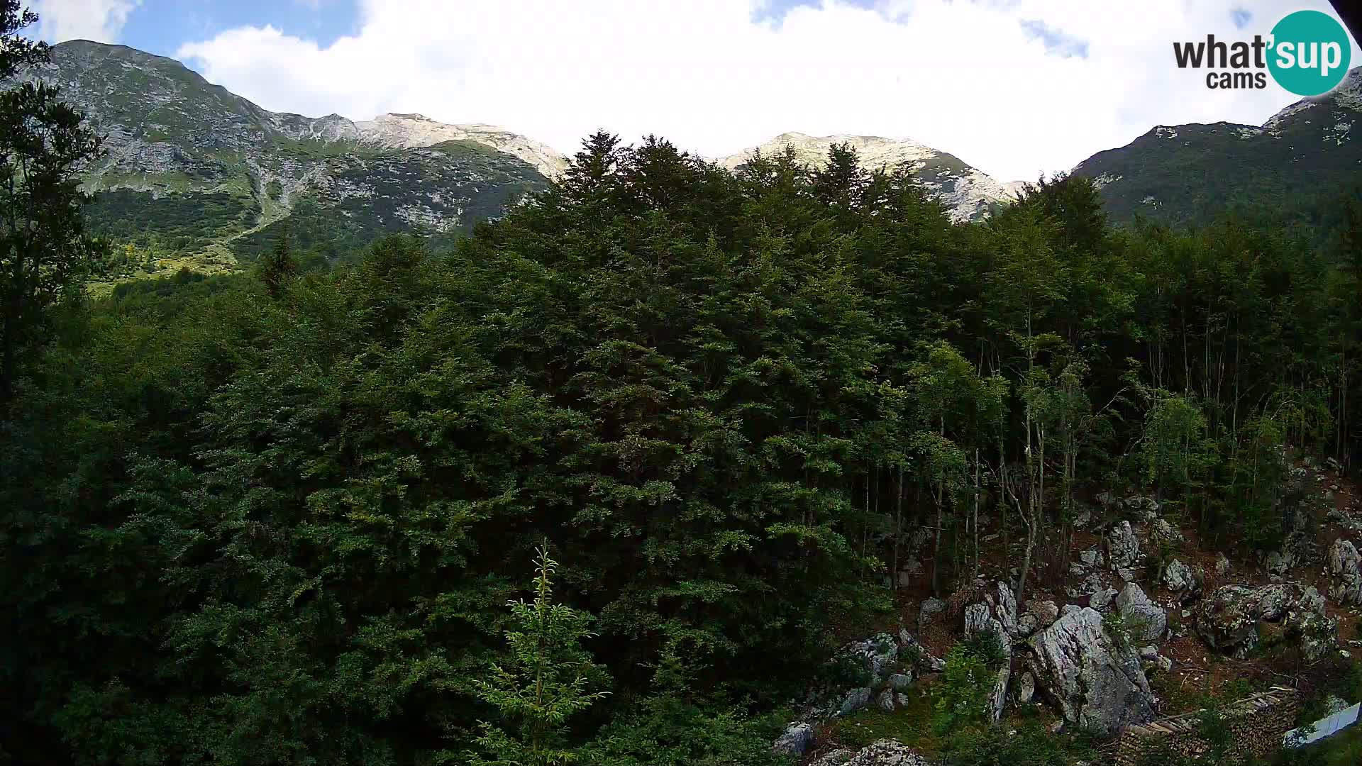 Webcam PLANINA RAZOR (1315) | Blick auf Vogel und Globoko