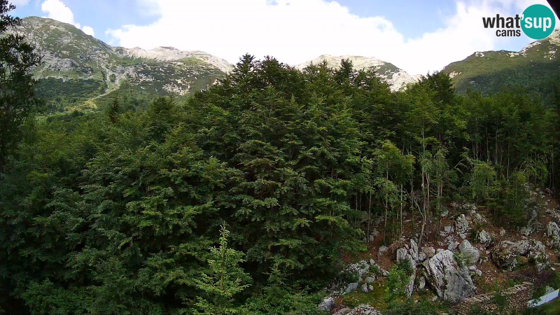 PLANINA RAZOR kamera (1315) | pogled na Vogel in Globoko