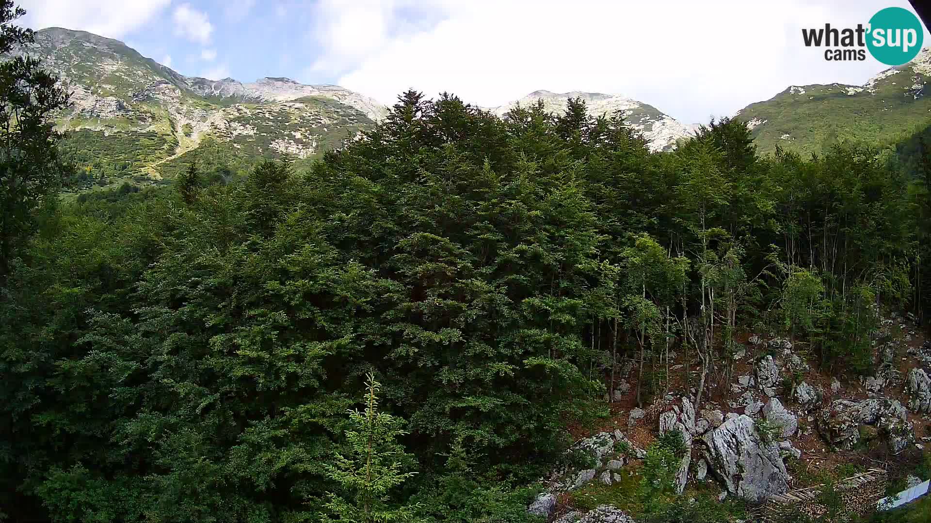 PLANINA RAZOR web kamera (1315) | pogled na Vogel i Globoko