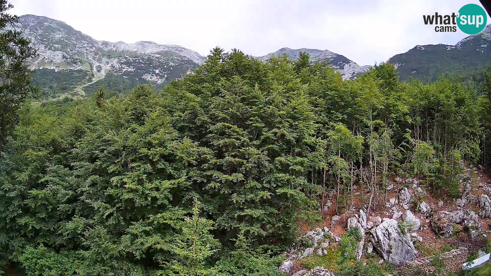 Webcam PLANINA RAZOR (1315) | Blick auf Vogel und Globoko
