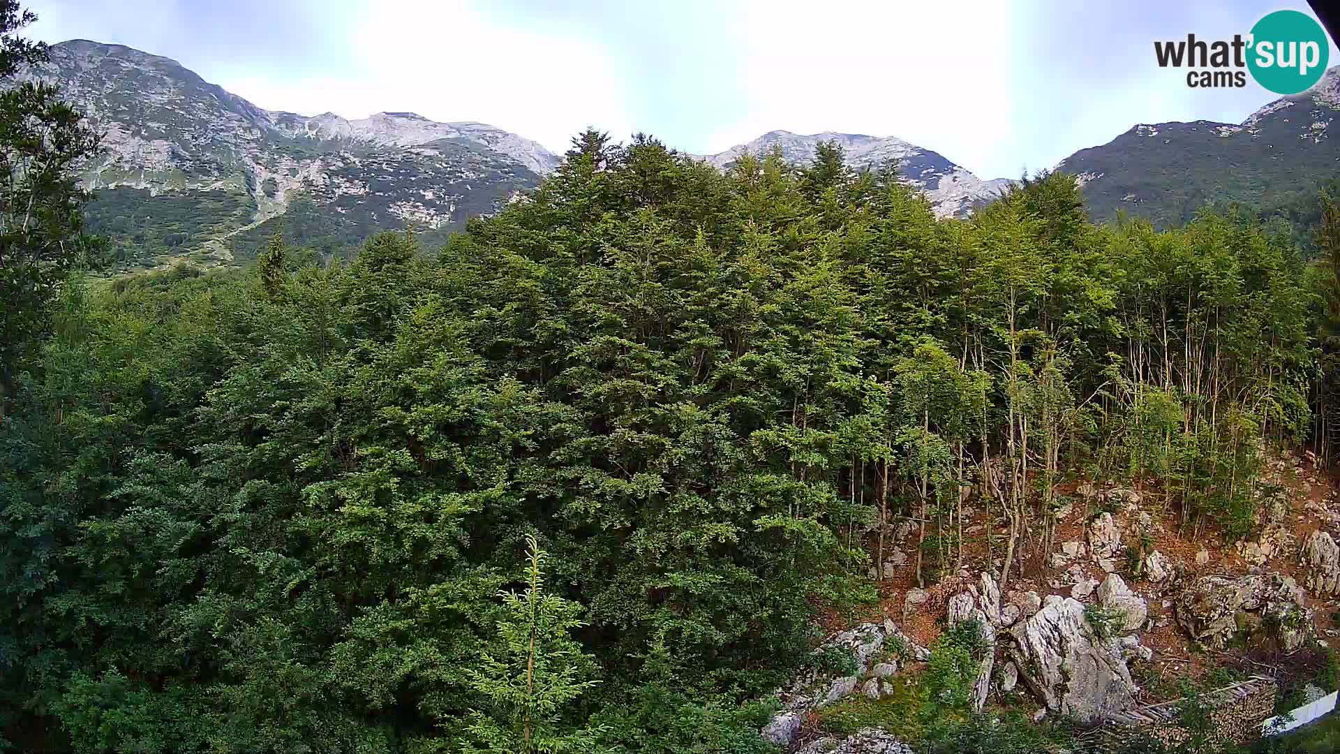 PLANINA RAZOR webcam (1315) | view to Vogel and Globoko