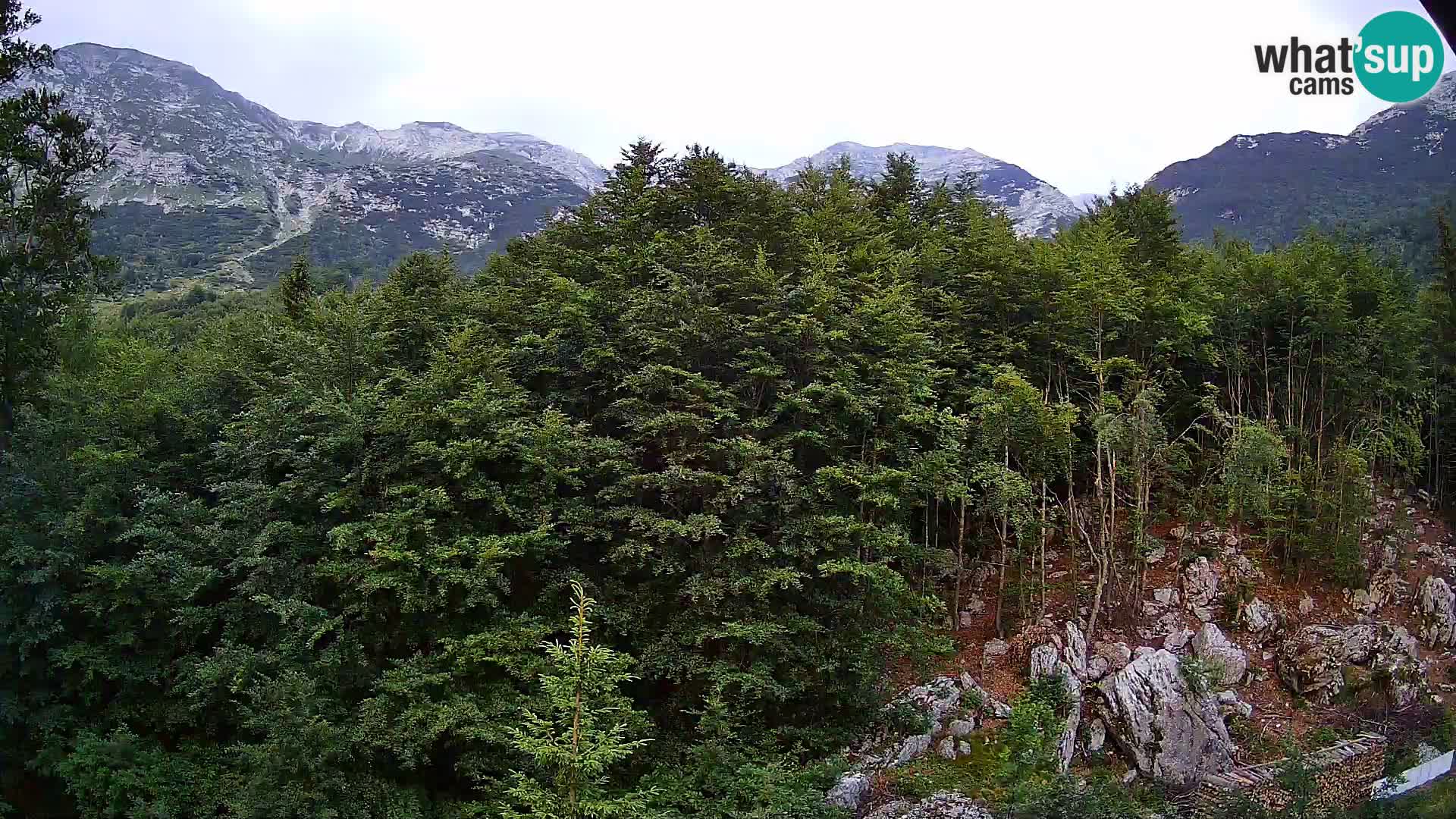 PLANINA RAZOR Live Cam (1315) | vista su Vogel e Globoko