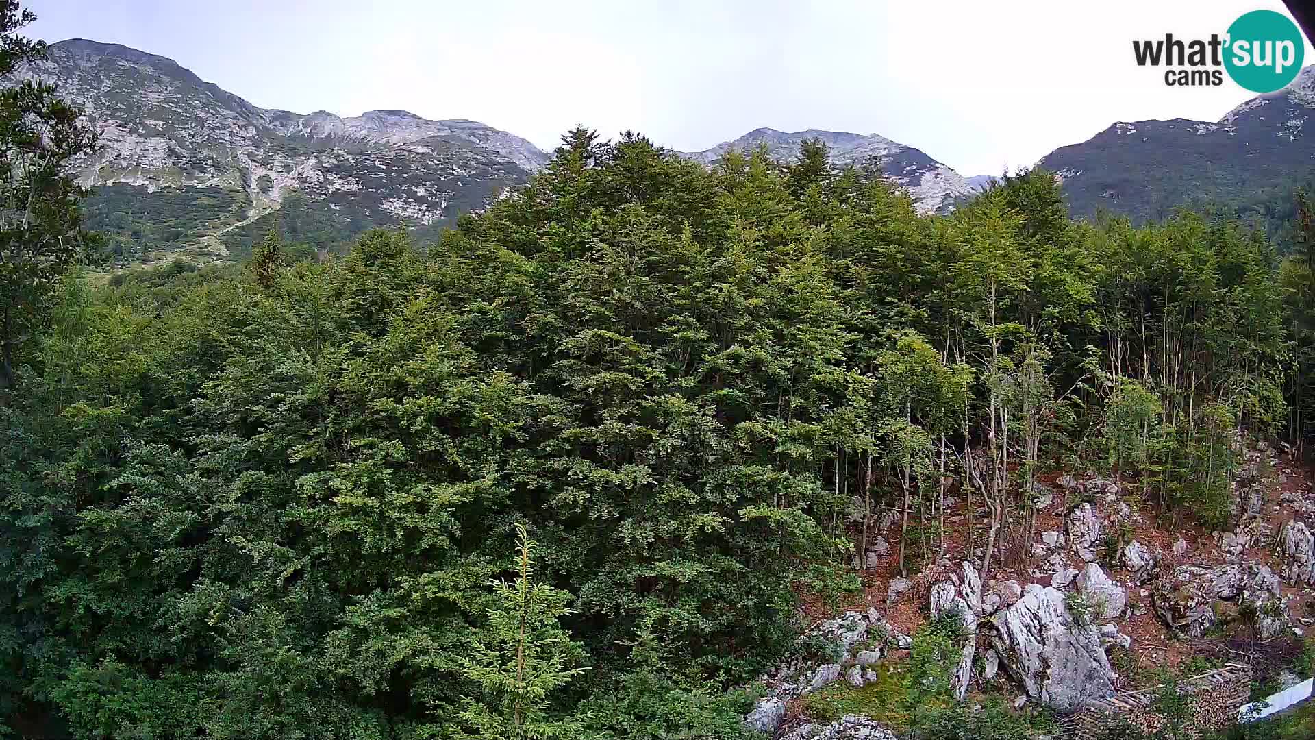 PLANINA RAZOR kamera (1315) | pogled na Vogel in Globoko