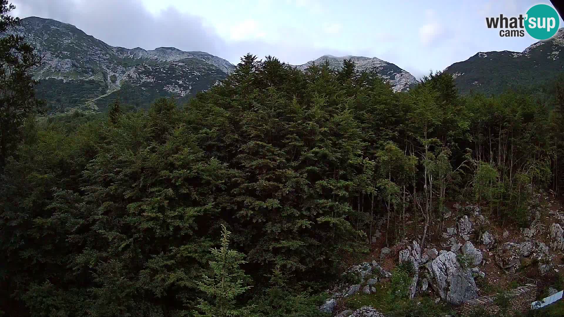 Cámara web PLANINA RAZOR (1315) | vista a Vogel y Globoko