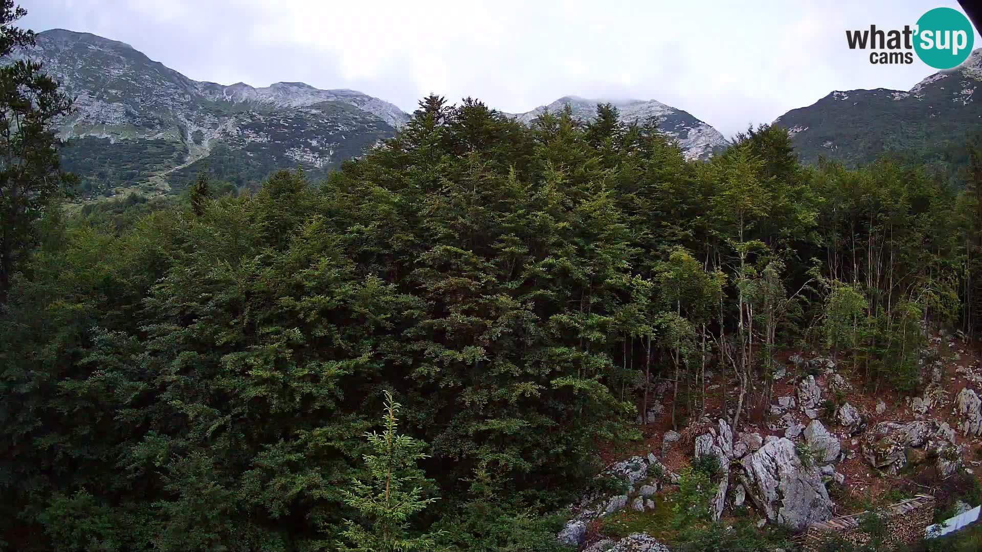 PLANINA RAZOR web kamera (1315) | pogled na Vogel i Globoko