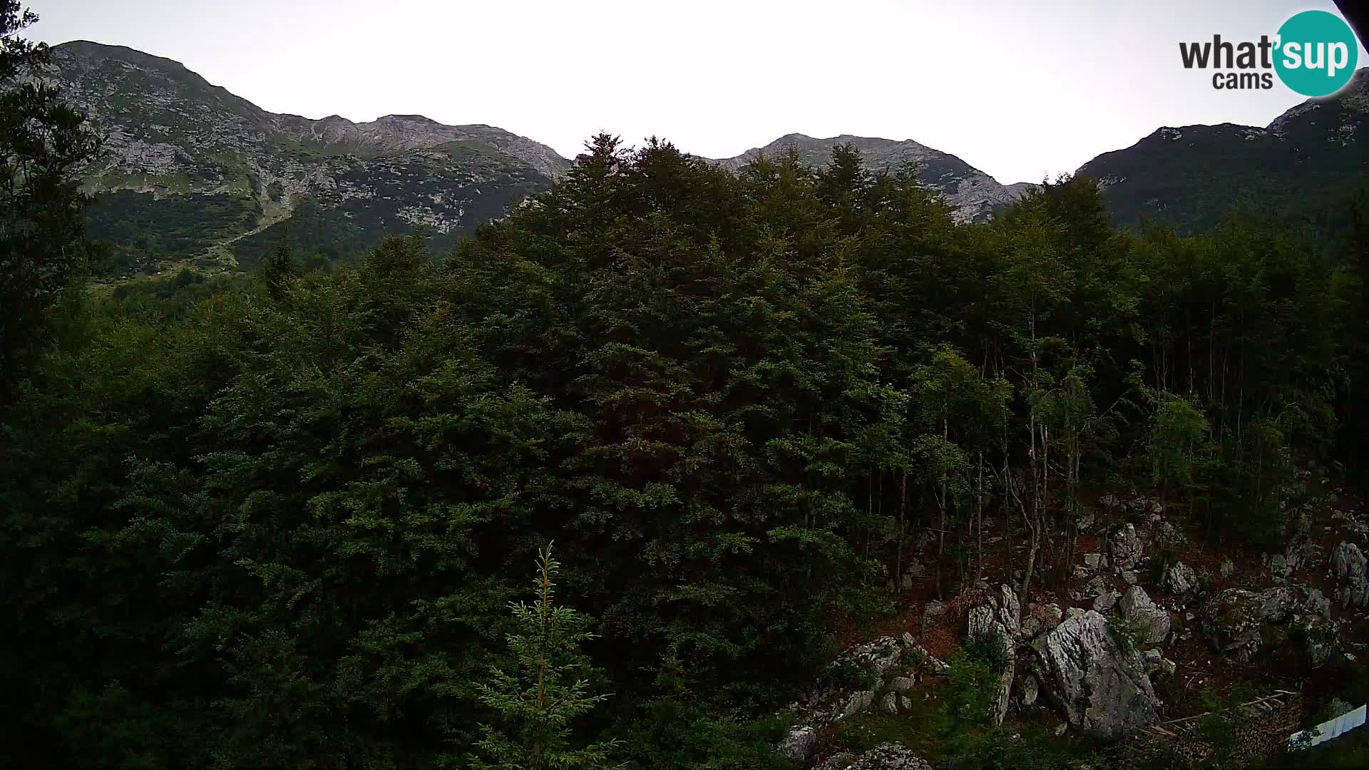 PLANINA RAZOR web kamera (1315) | pogled na Vogel i Globoko