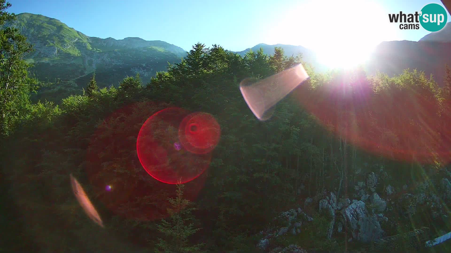 Webcam PLANINA RAZOR (1315) | Blick auf Vogel und Globoko
