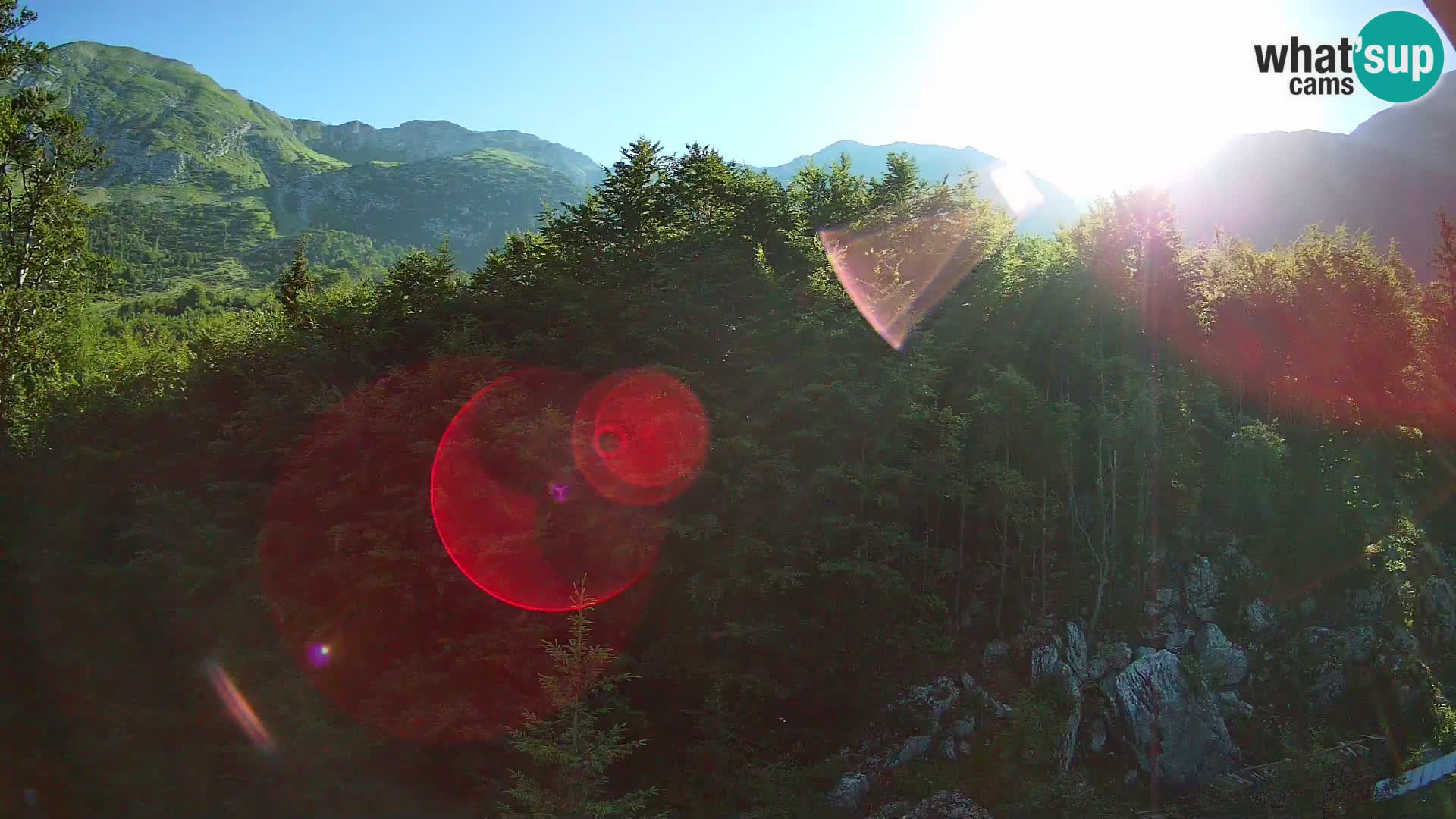 Webcam PLANINA RAZOR (1315) | Blick auf Vogel und Globoko