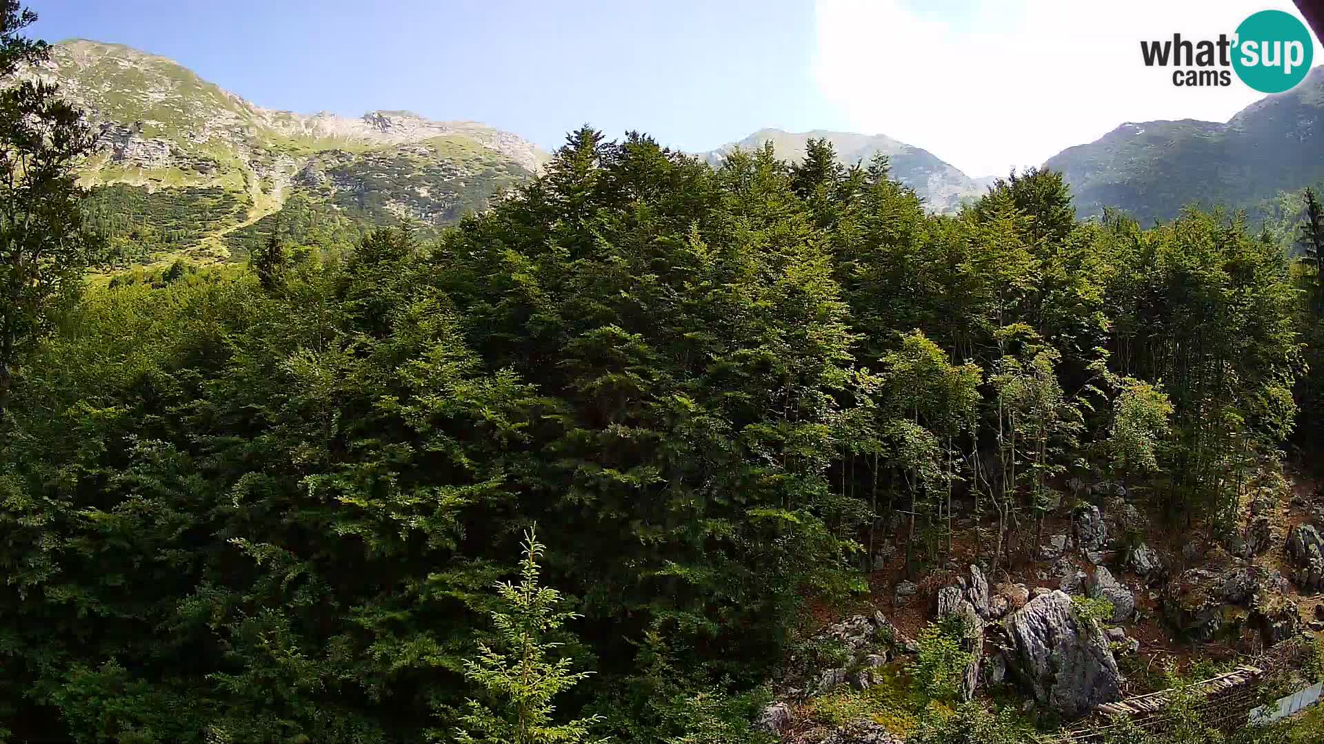 Webcam PLANINA RAZOR (1315) | Blick auf Vogel und Globoko