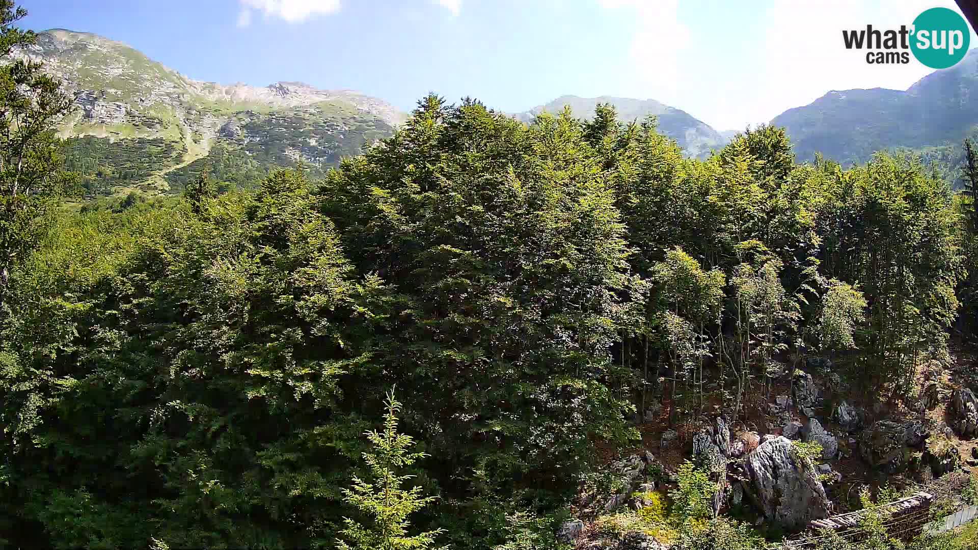 Cámara web PLANINA RAZOR (1315) | vista a Vogel y Globoko
