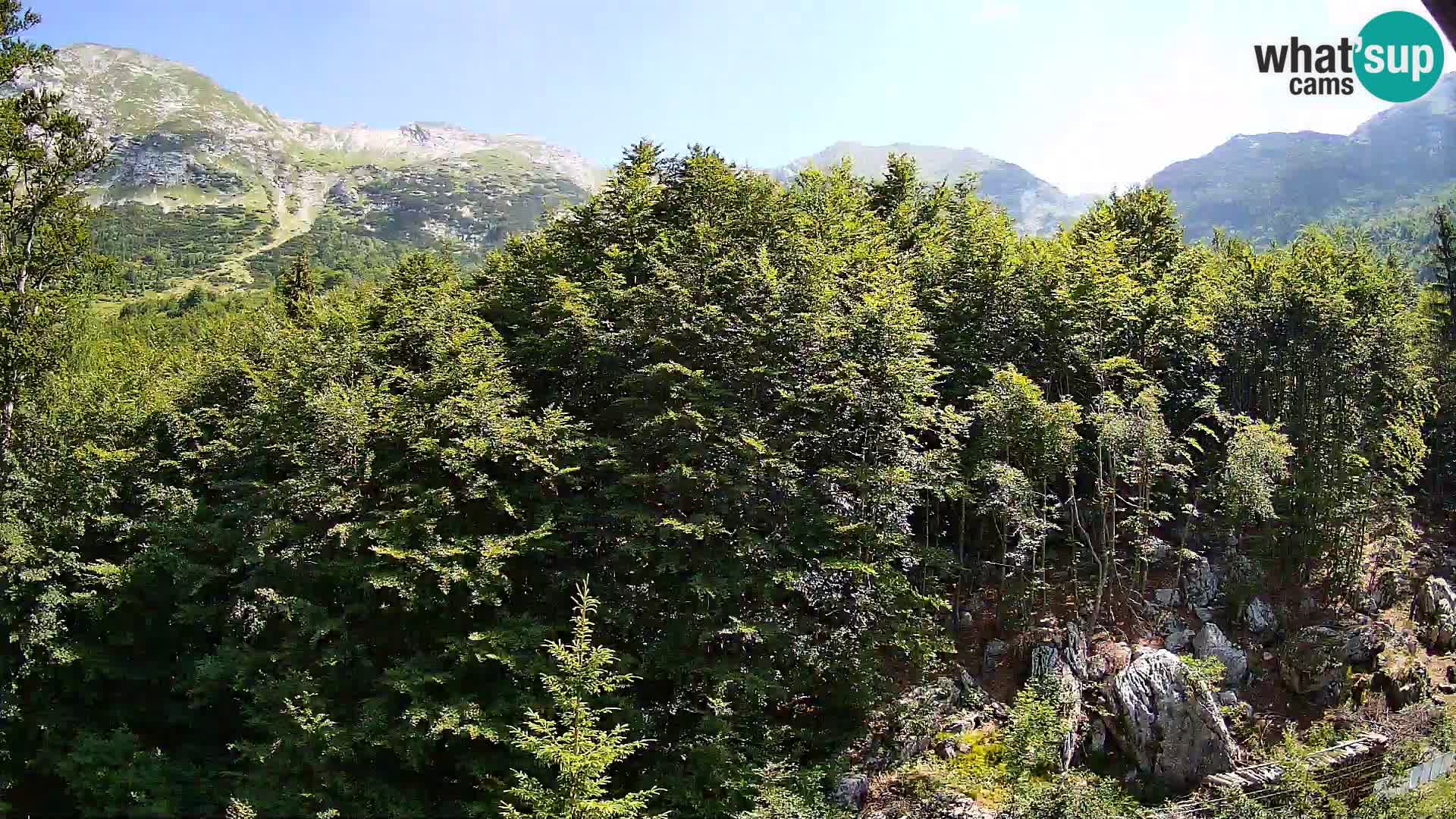Webcam PLANINA RAZOR (1315) | Blick auf Vogel und Globoko