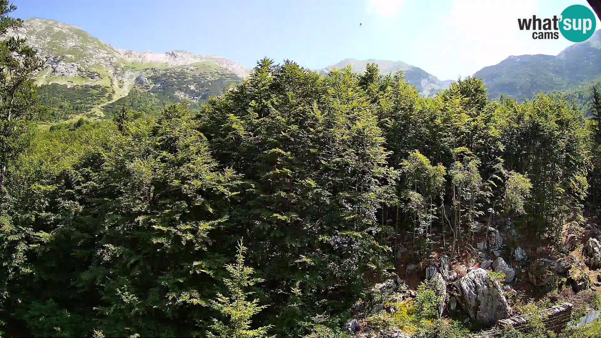PLANINA RAZOR webcam (1315) | view to Vogel and Globoko