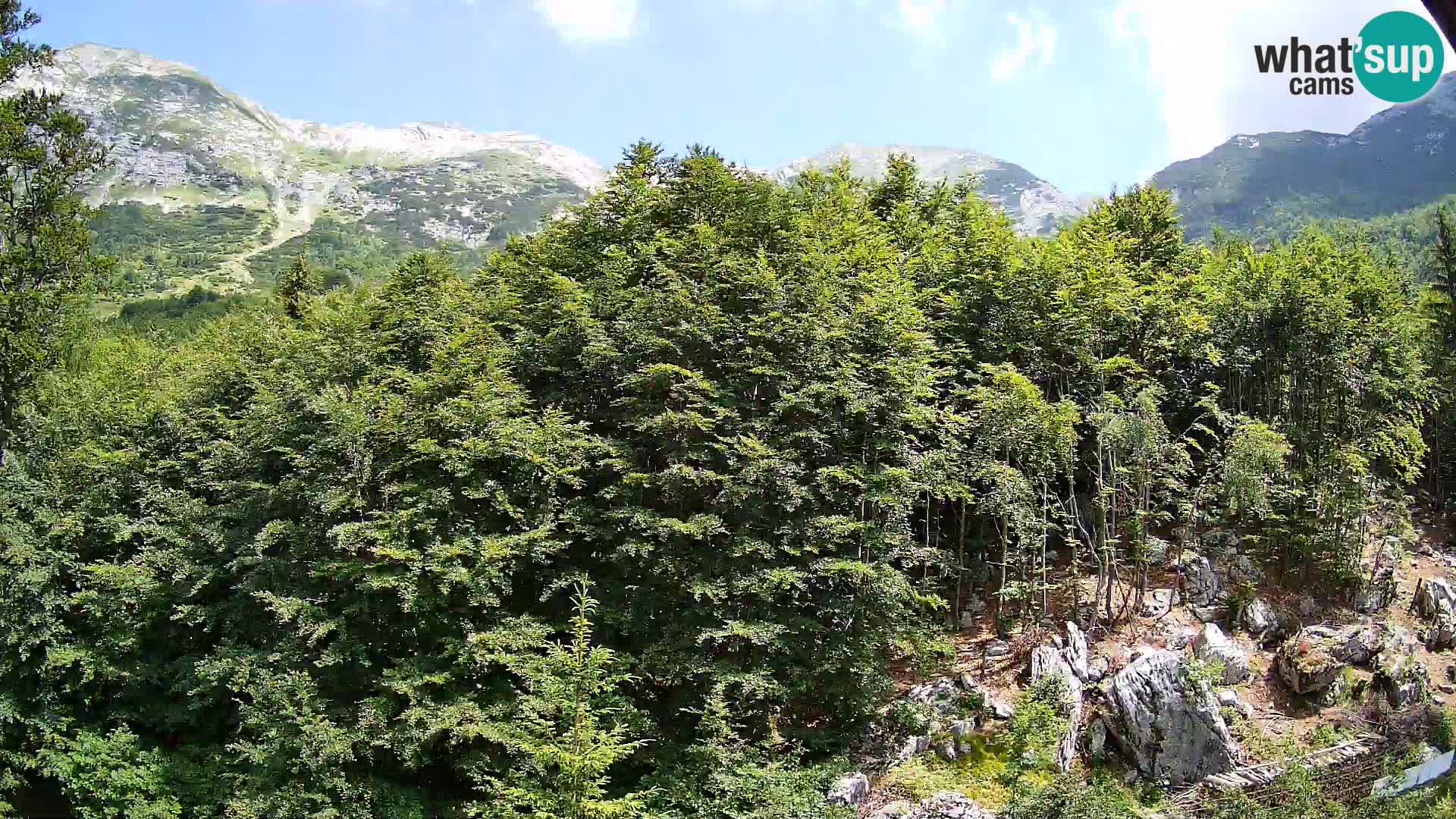 Webcam PLANINA RAZOR (1315) | Blick auf Vogel und Globoko