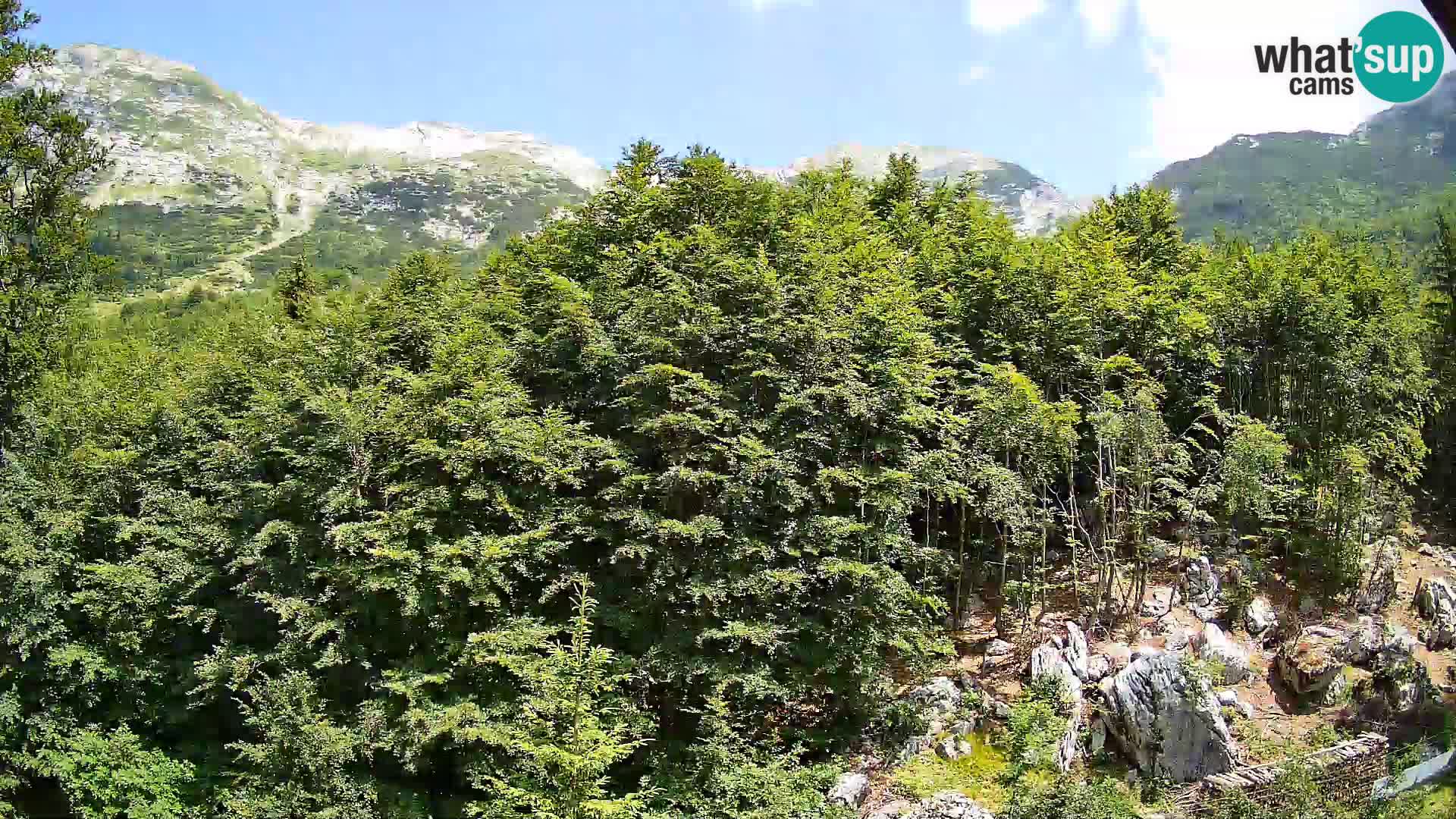 Cámara web PLANINA RAZOR (1315) | vista a Vogel y Globoko
