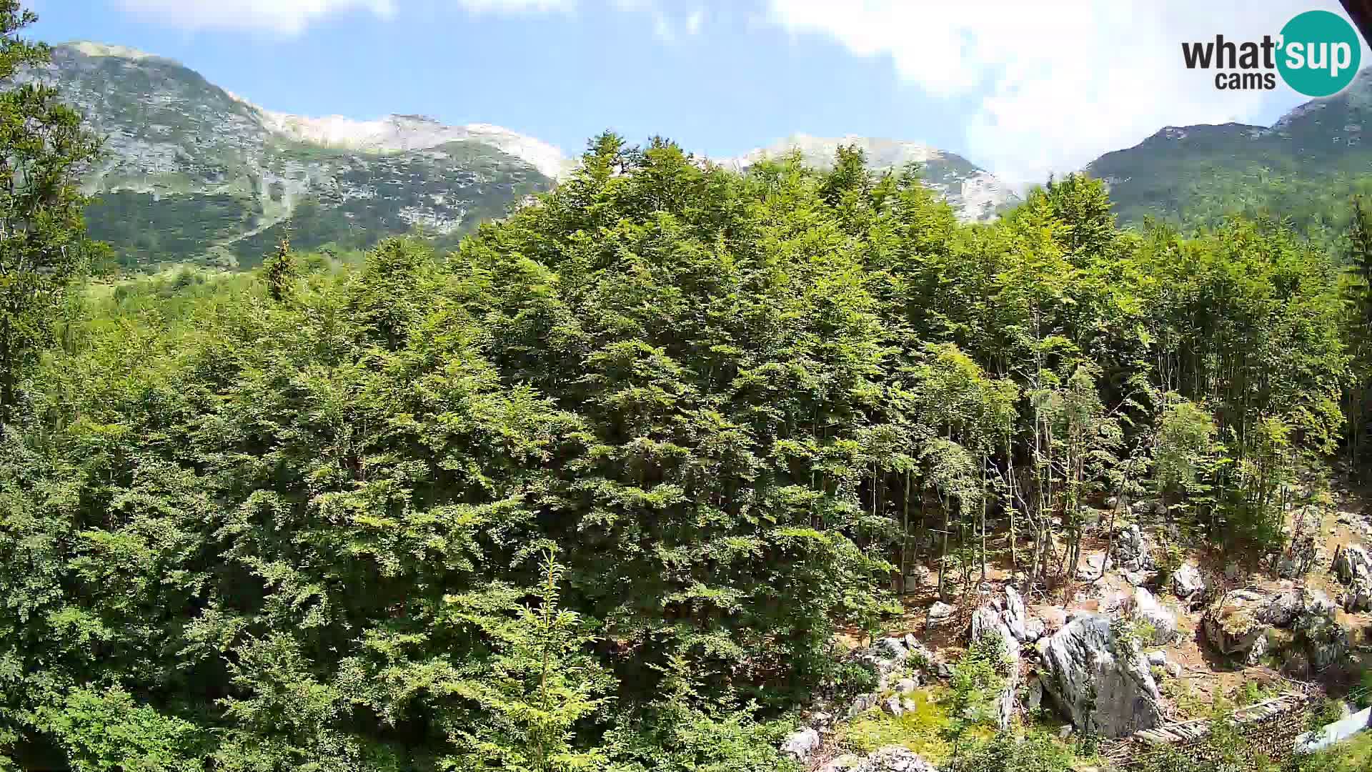 Webcam PLANINA RAZOR (1315) | Blick auf Vogel und Globoko