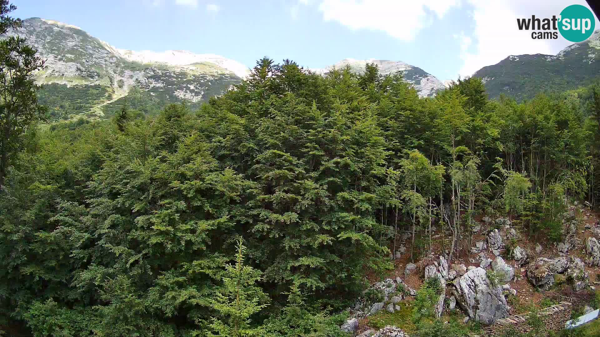PLANINA RAZOR Live Cam (1315) | vista su Vogel e Globoko