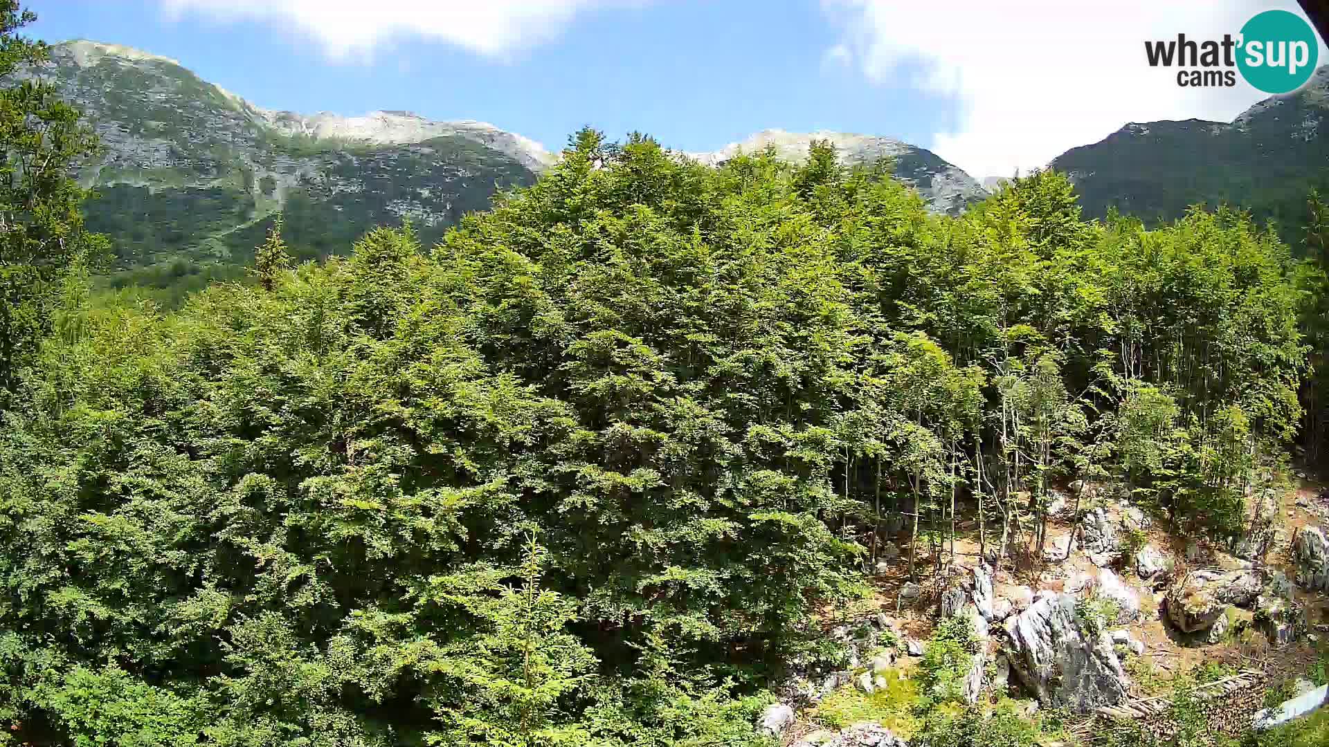PLANINA RAZOR web kamera (1315) | pogled na Vogel i Globoko