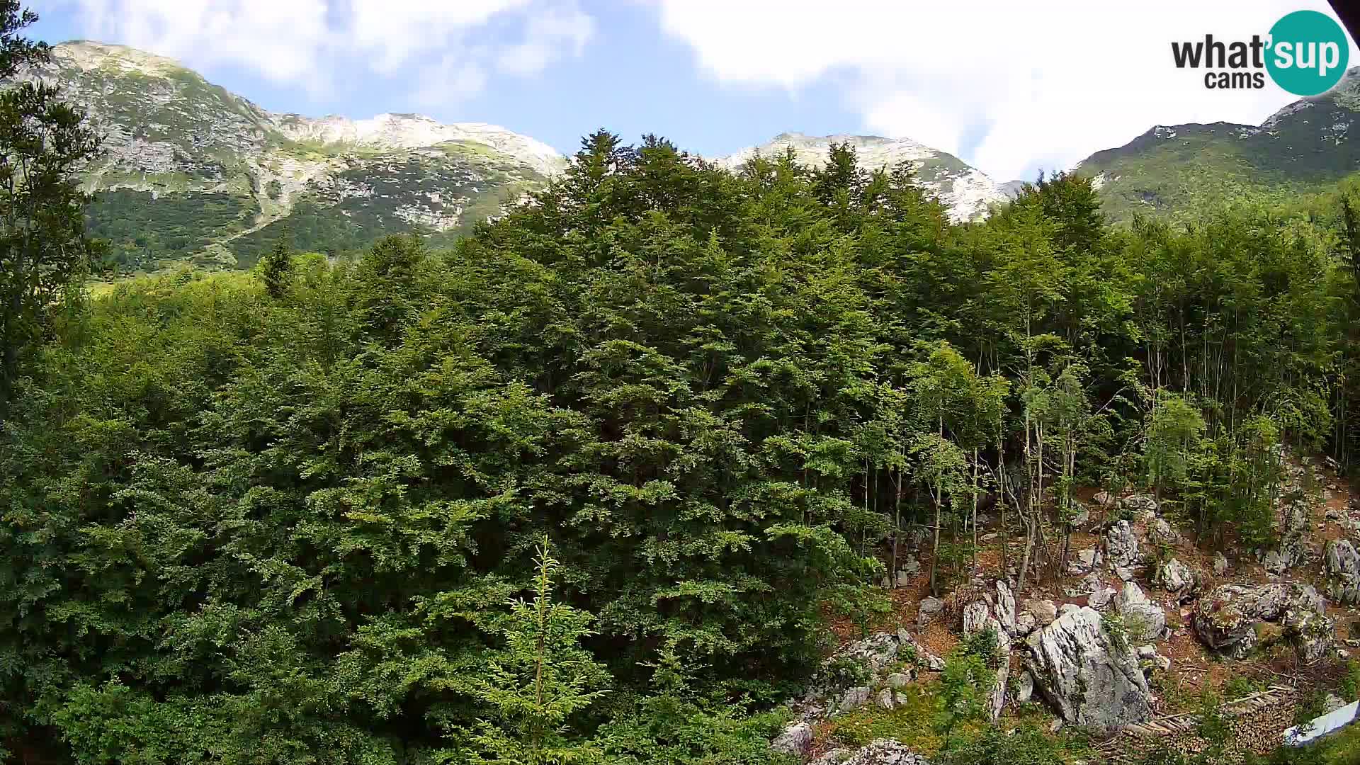 PLANINA RAZOR webcam (1315) | view to Vogel and Globoko
