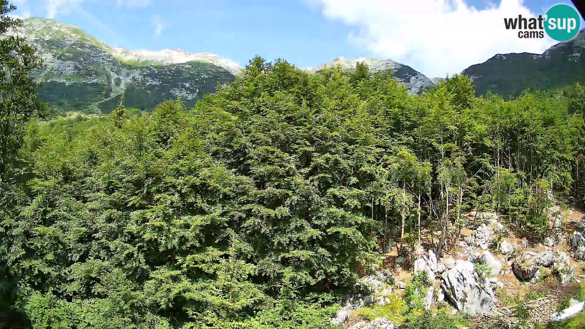 PLANINA RAZOR webcam (1315) | view to Vogel and Globoko