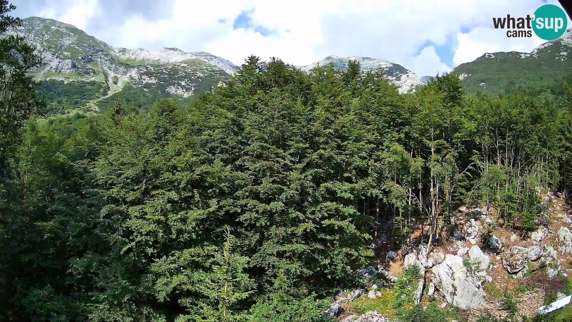 PLANINA RAZOR web kamera (1315) | pogled na Vogel i Globoko