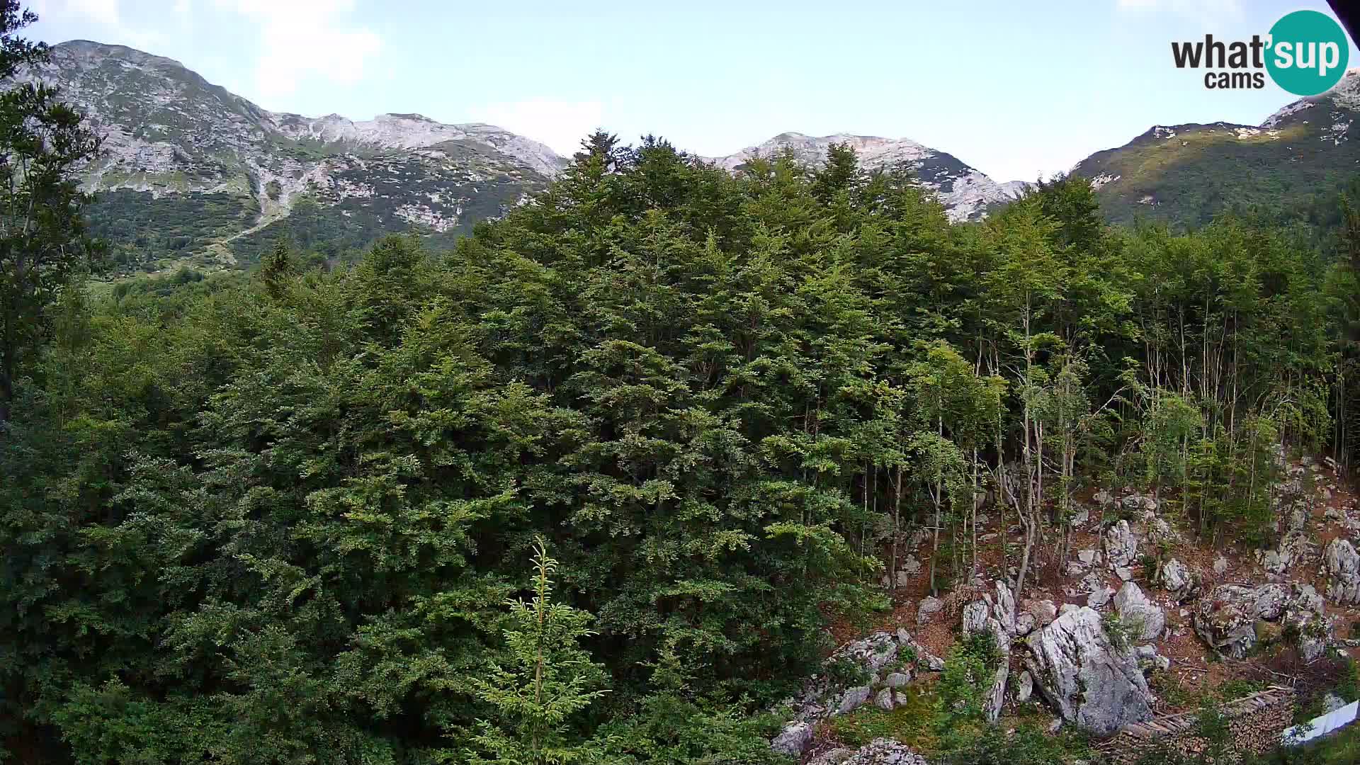 PLANINA RAZOR web kamera (1315) | pogled na Vogel i Globoko