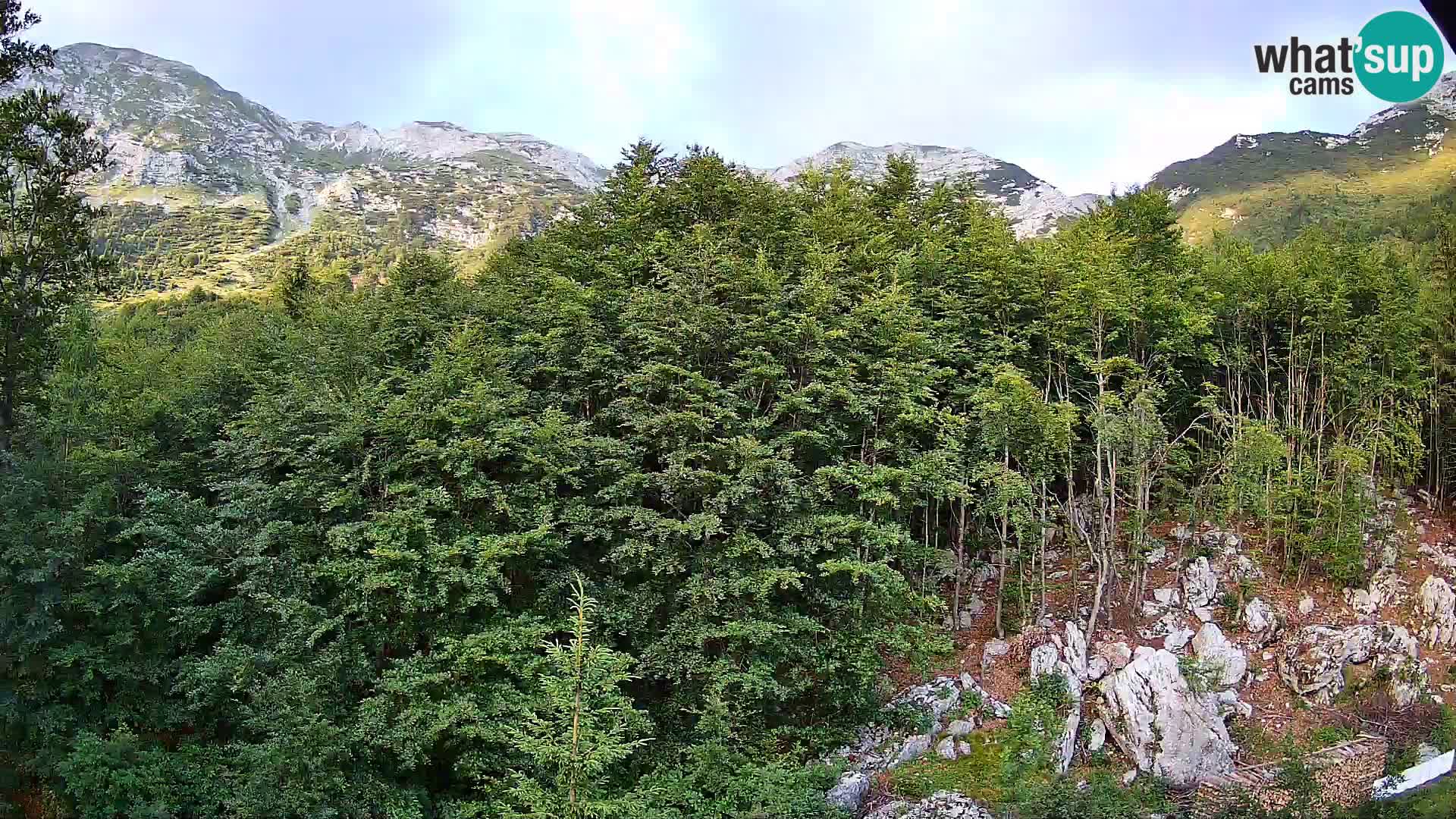 PLANINA RAZOR kamera (1315) | pogled na Vogel in Globoko