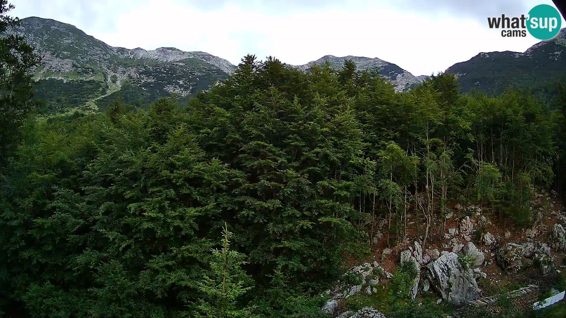 Webcam PLANINA RAZOR (1315) | Blick auf Vogel und Globoko
