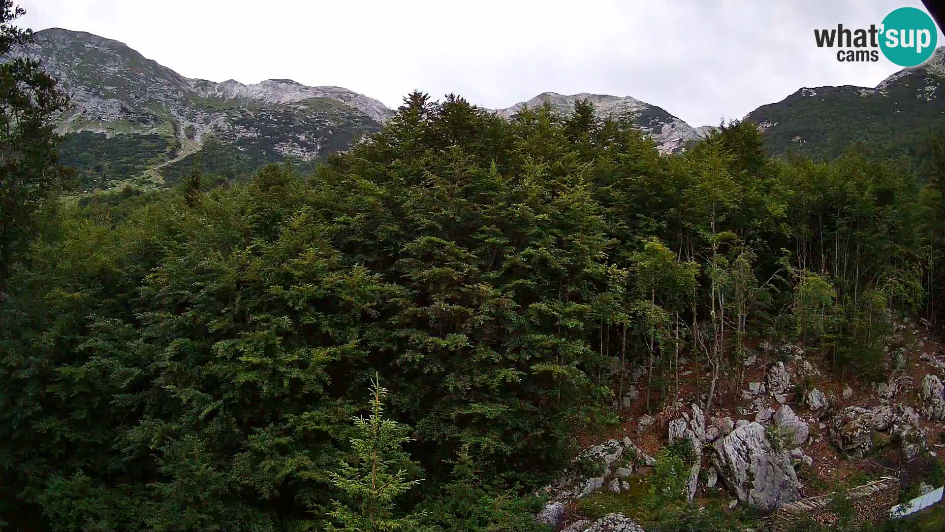 PLANINA RAZOR kamera (1315) | pogled na Vogel in Globoko