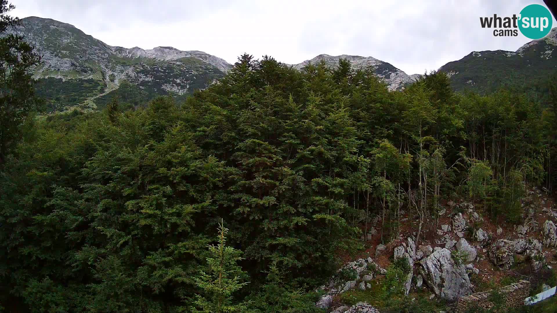 Webcam PLANINA RAZOR (1315) | Blick auf Vogel und Globoko