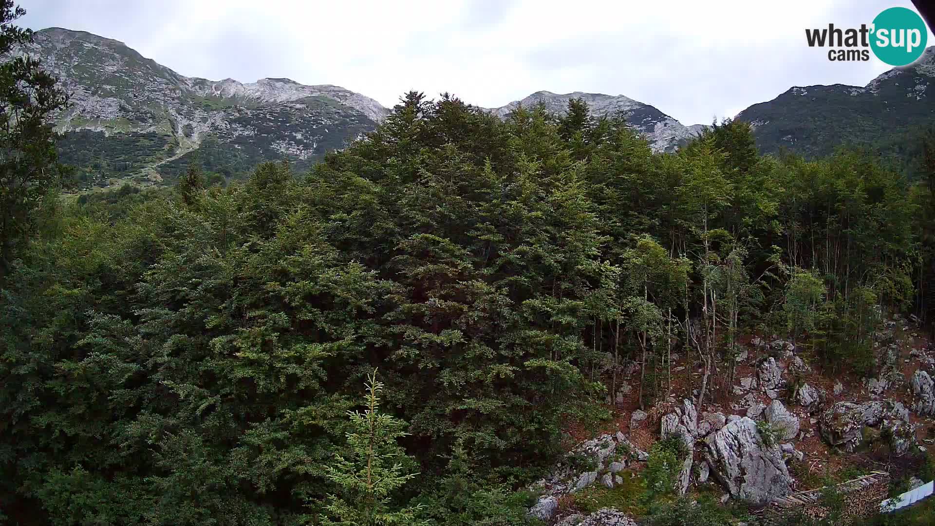 Cámara web PLANINA RAZOR (1315) | vista a Vogel y Globoko