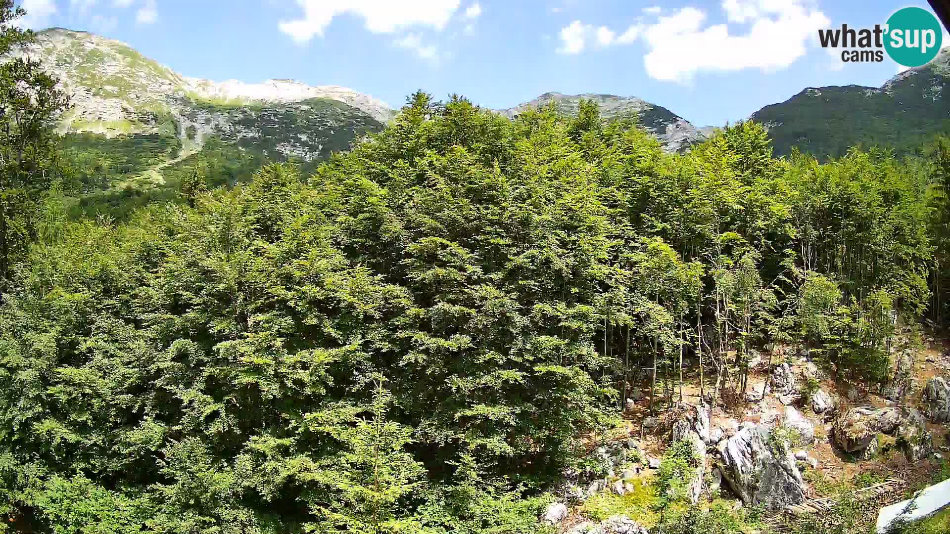 PLANINA RAZOR webcam (1315) | view to Vogel and Globoko