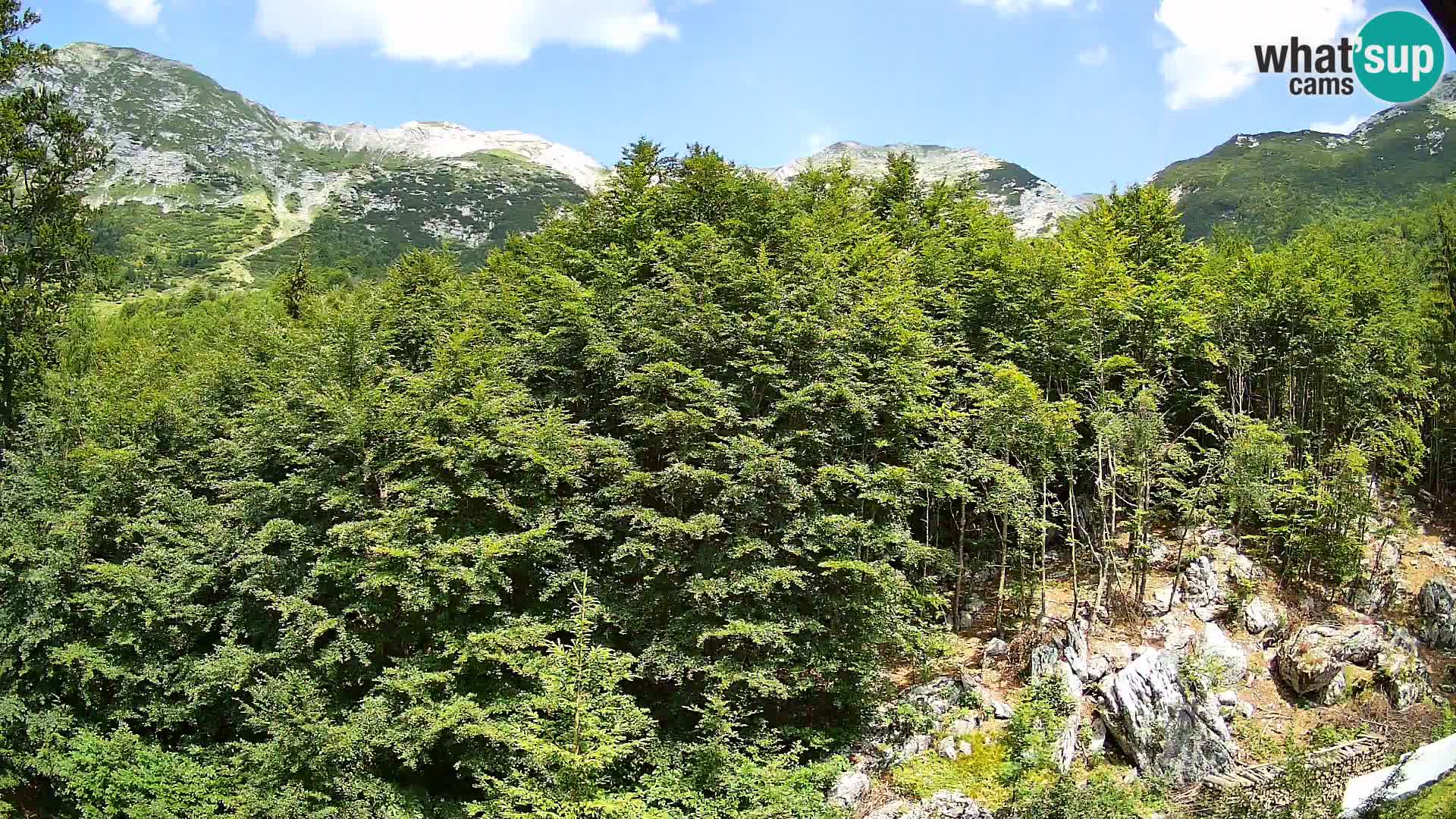 PLANINA RAZOR webcam (1315) | view to Vogel and Globoko