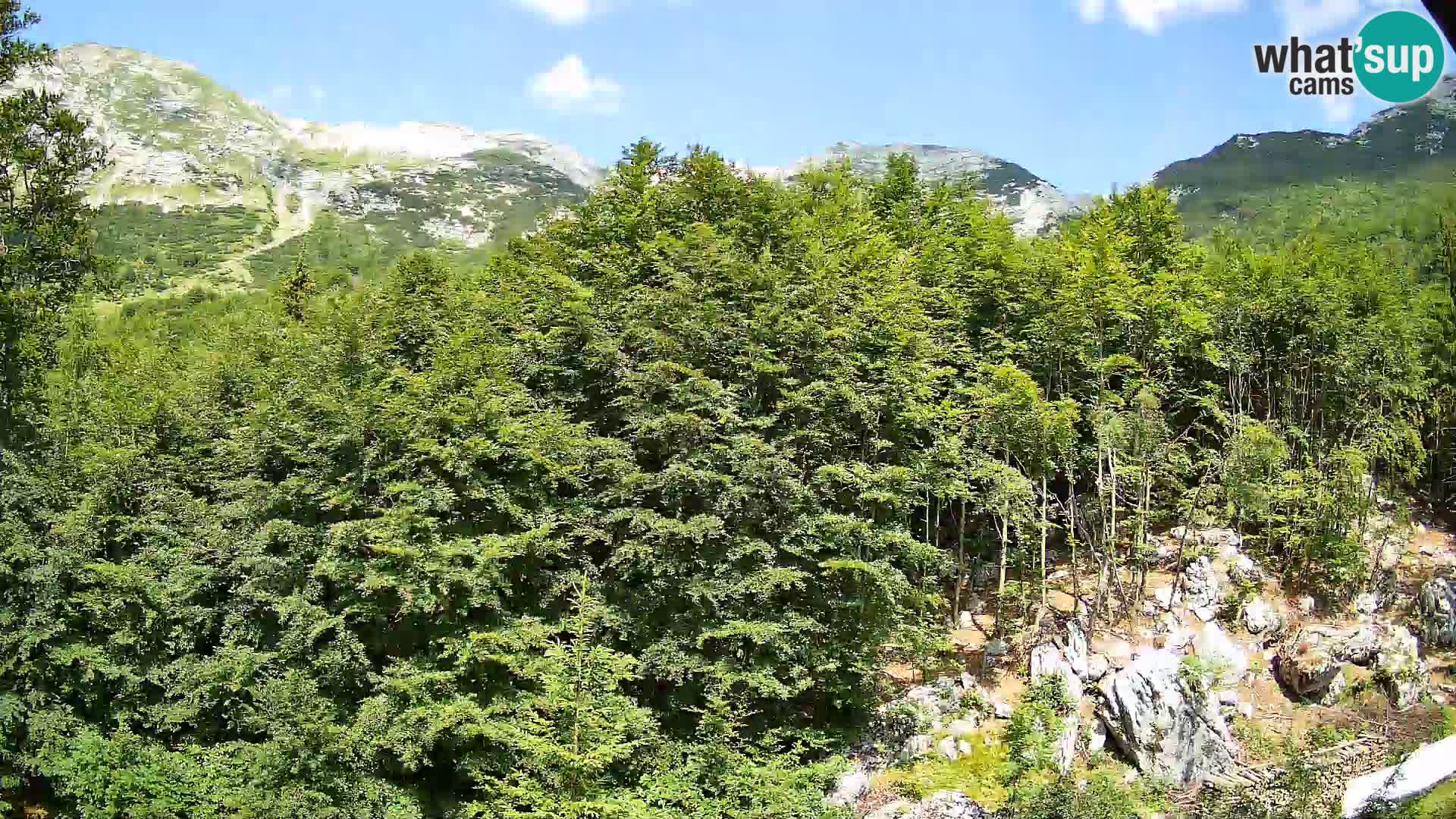 PLANINA RAZOR webcam (1315) | view to Vogel and Globoko