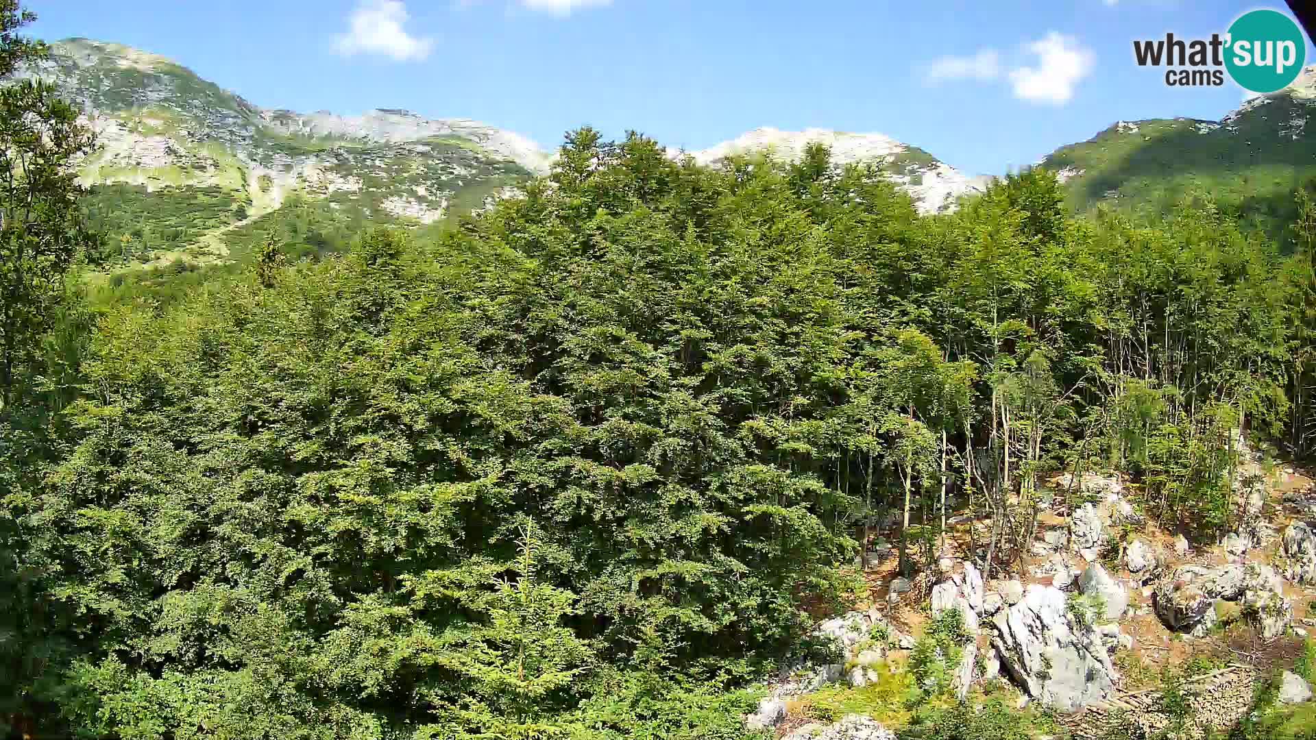 PLANINA RAZOR webcam (1315) | view to Vogel and Globoko