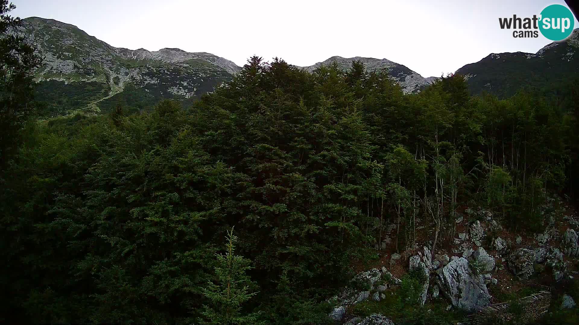 PLANINA RAZOR kamera (1315) | pogled na Vogel in Globoko