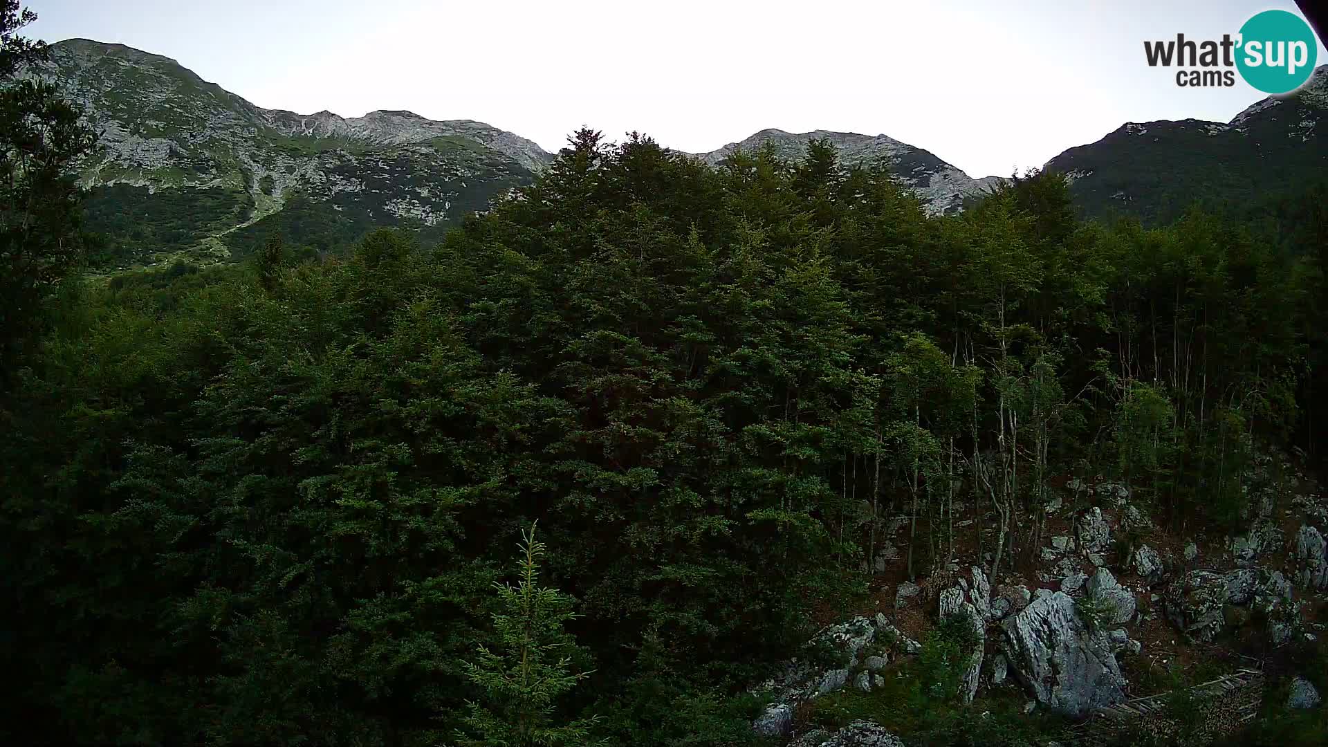 PLANINA RAZOR webcam (1315) | view to Vogel and Globoko