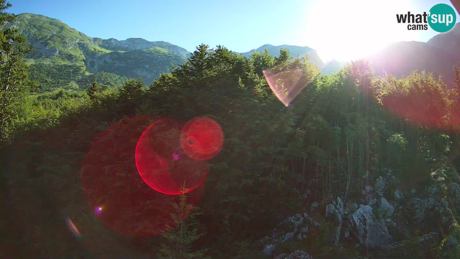 Webcam PLANINA RAZOR (1315) | Blick auf Vogel und Globoko