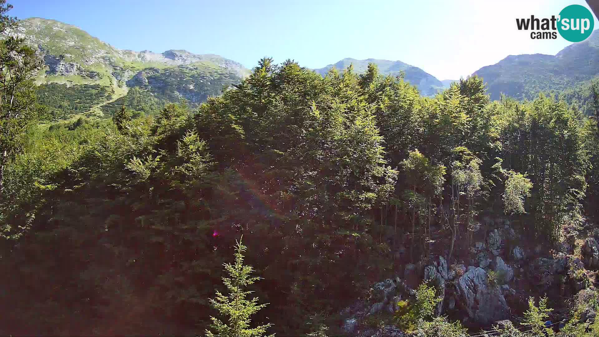 Webcam PLANINA RAZOR (1315) | Blick auf Vogel und Globoko