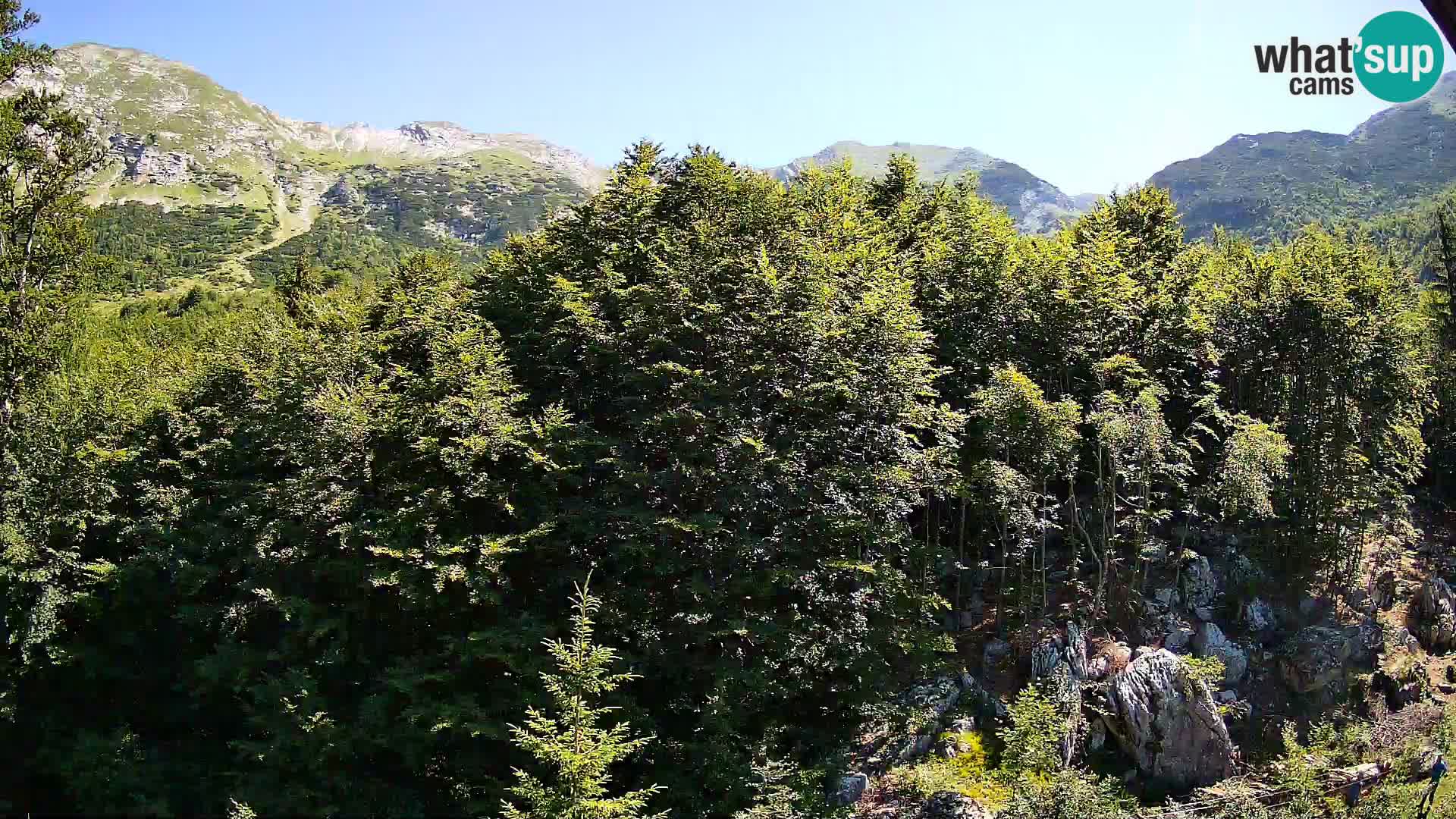 Cámara web PLANINA RAZOR (1315) | vista a Vogel y Globoko